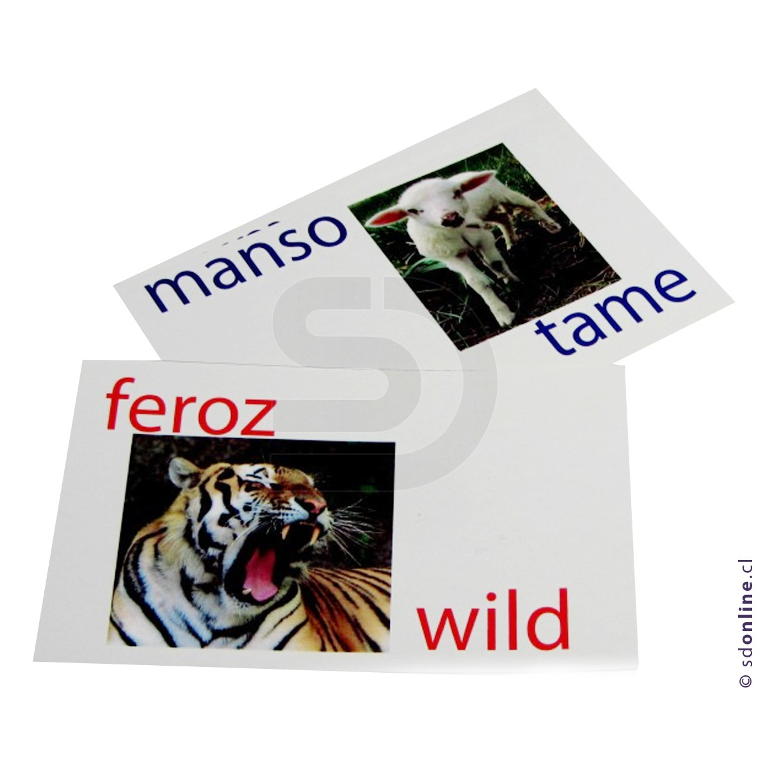 Naipe opuestos español ingles 1