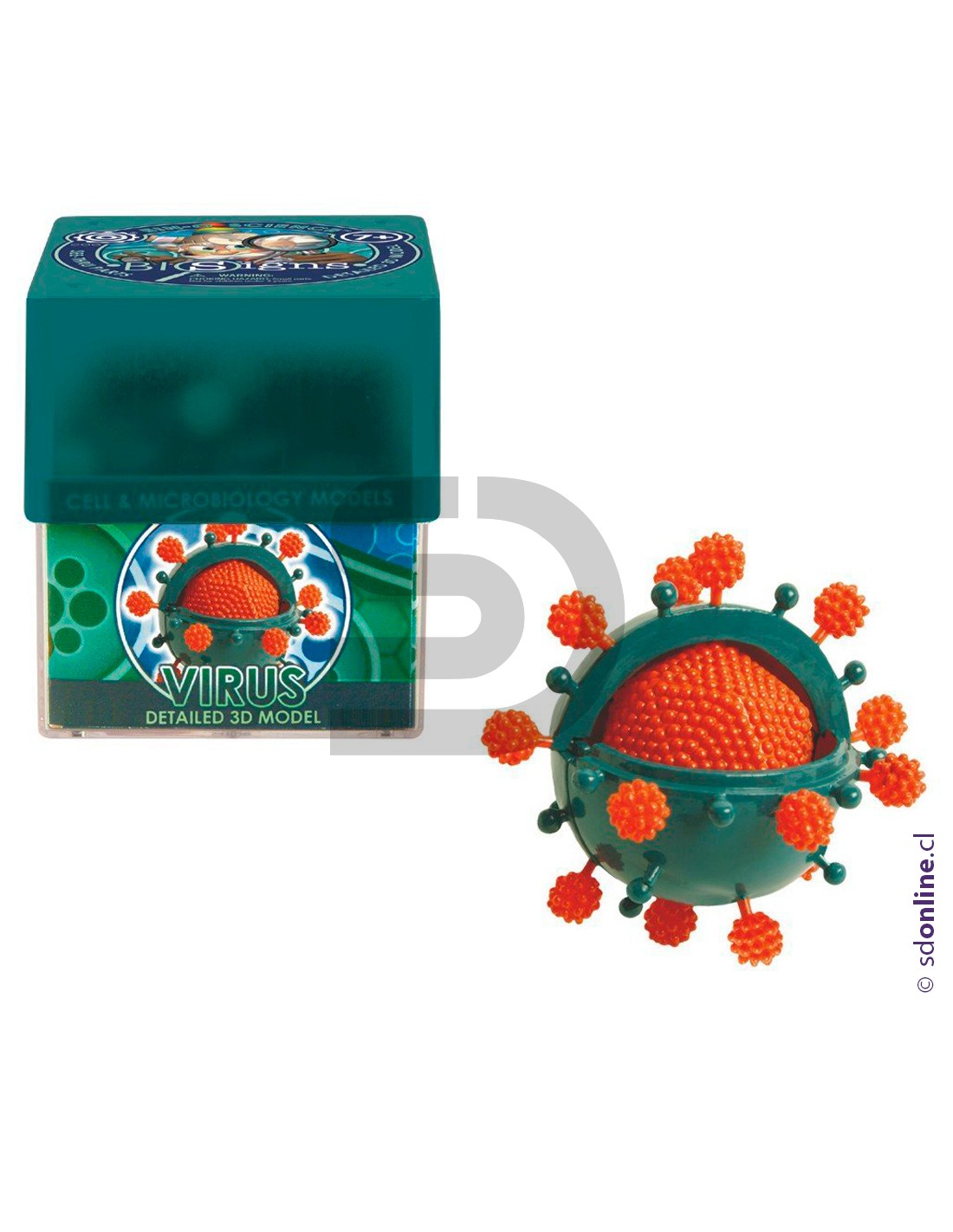 Celula Virus