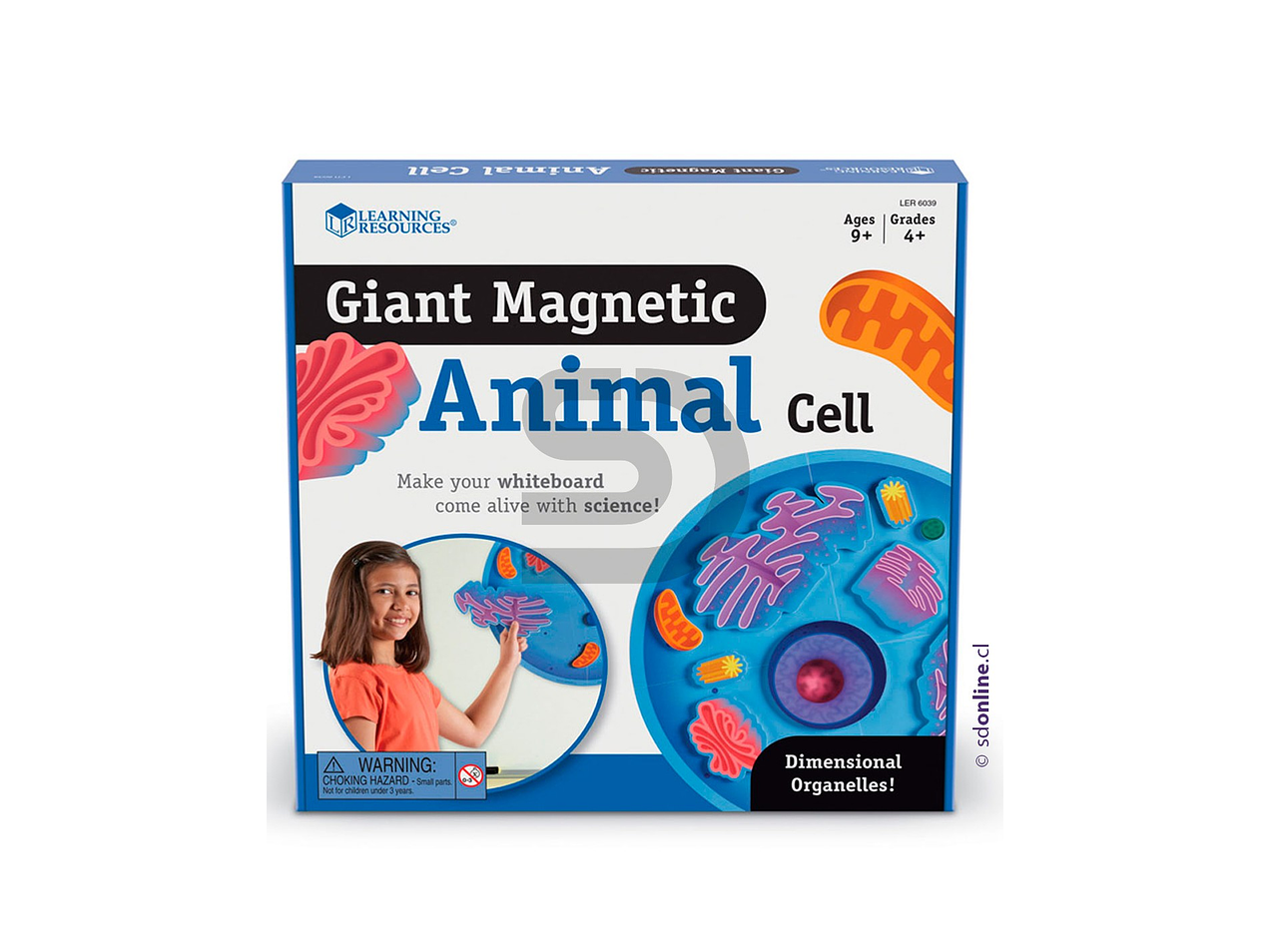 Celula gigante magnetica de animal 1