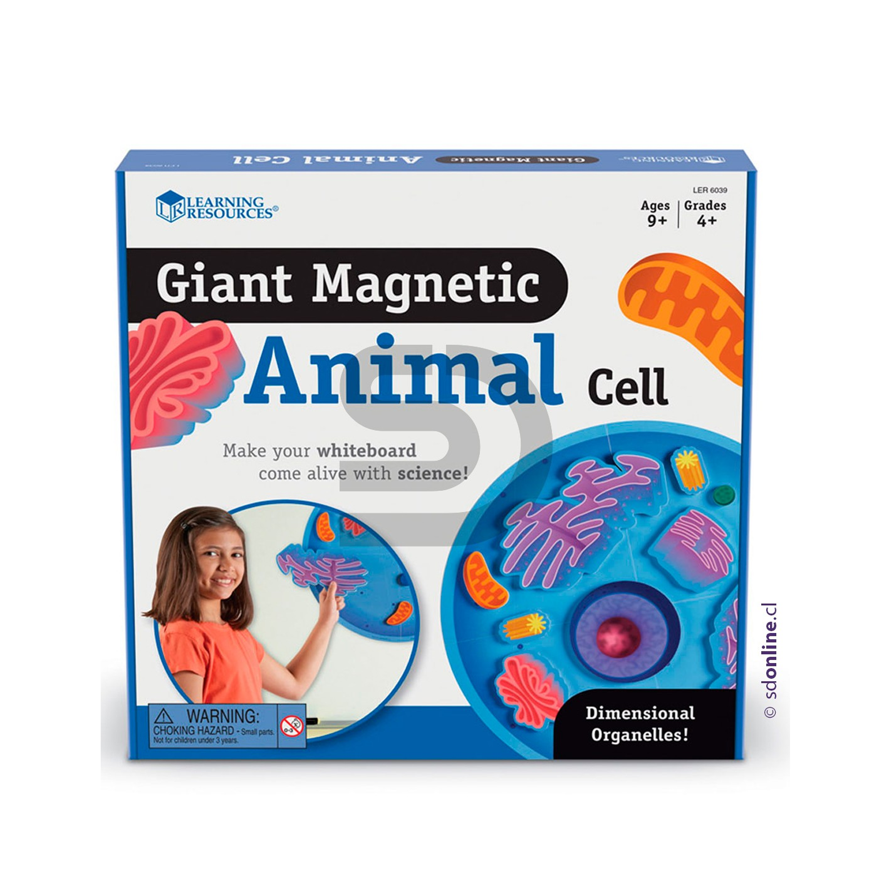 Celula gigante magnetica de animal 1