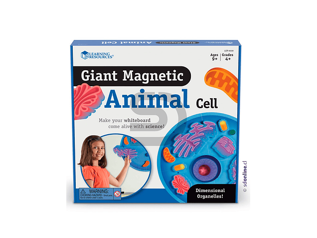 Celula gigante magnetica de animal 1