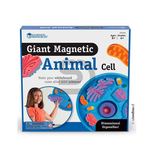 Celula gigante magnetica de animal