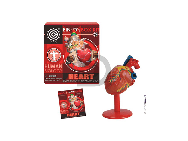 Corazon Desarmable 1