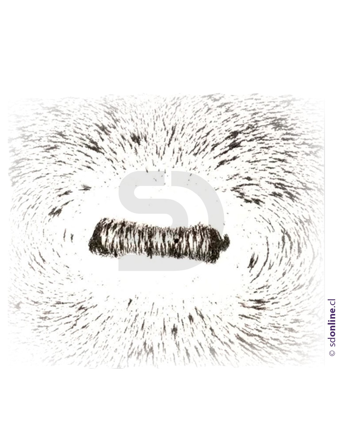 Experimento de magnetismo