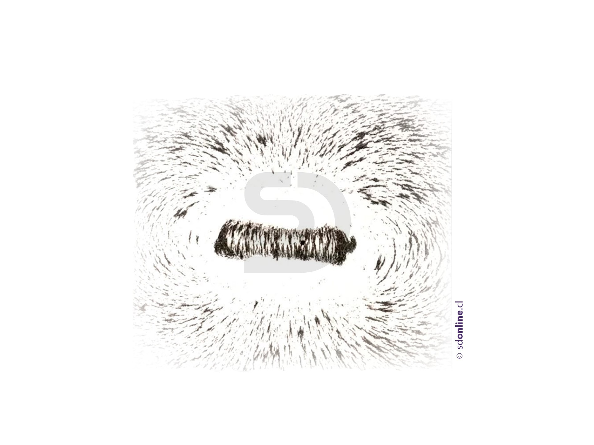 Experimento de magnetismo 1