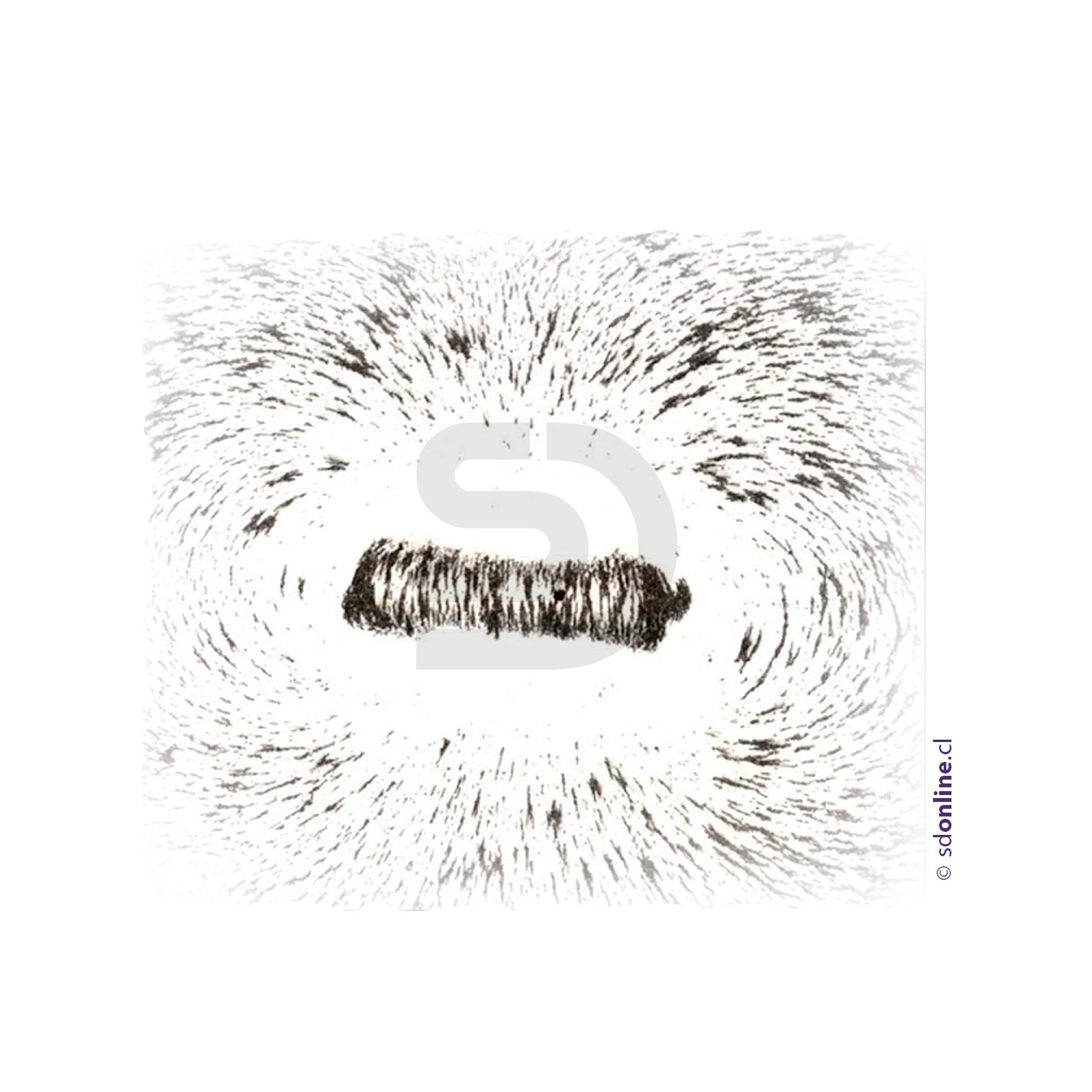 Experimento de magnetismo 1