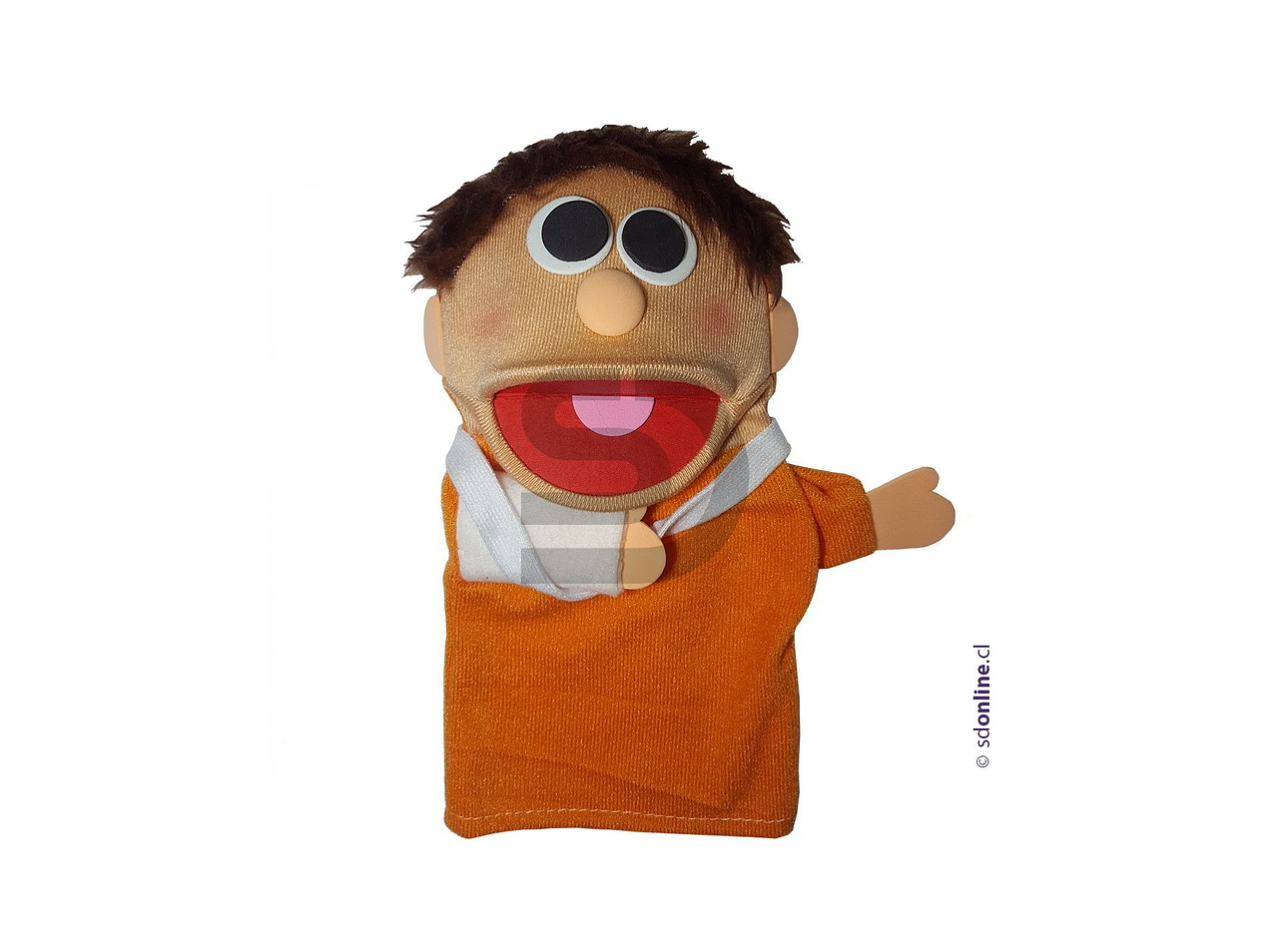 Títeres personas con capacidades diferentes 6Und 2