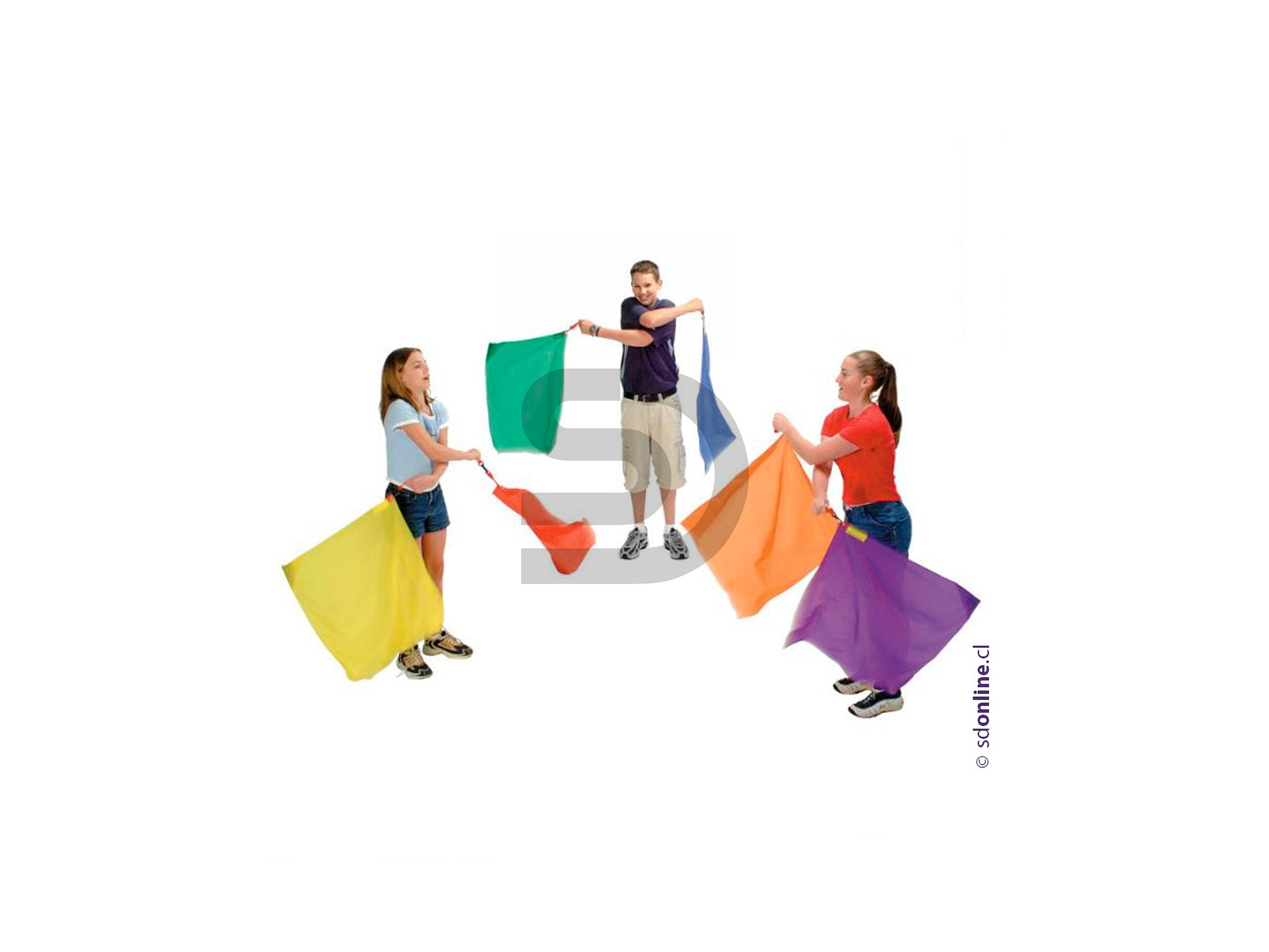 Banderas Ritmicas Con Peso 6Und 1