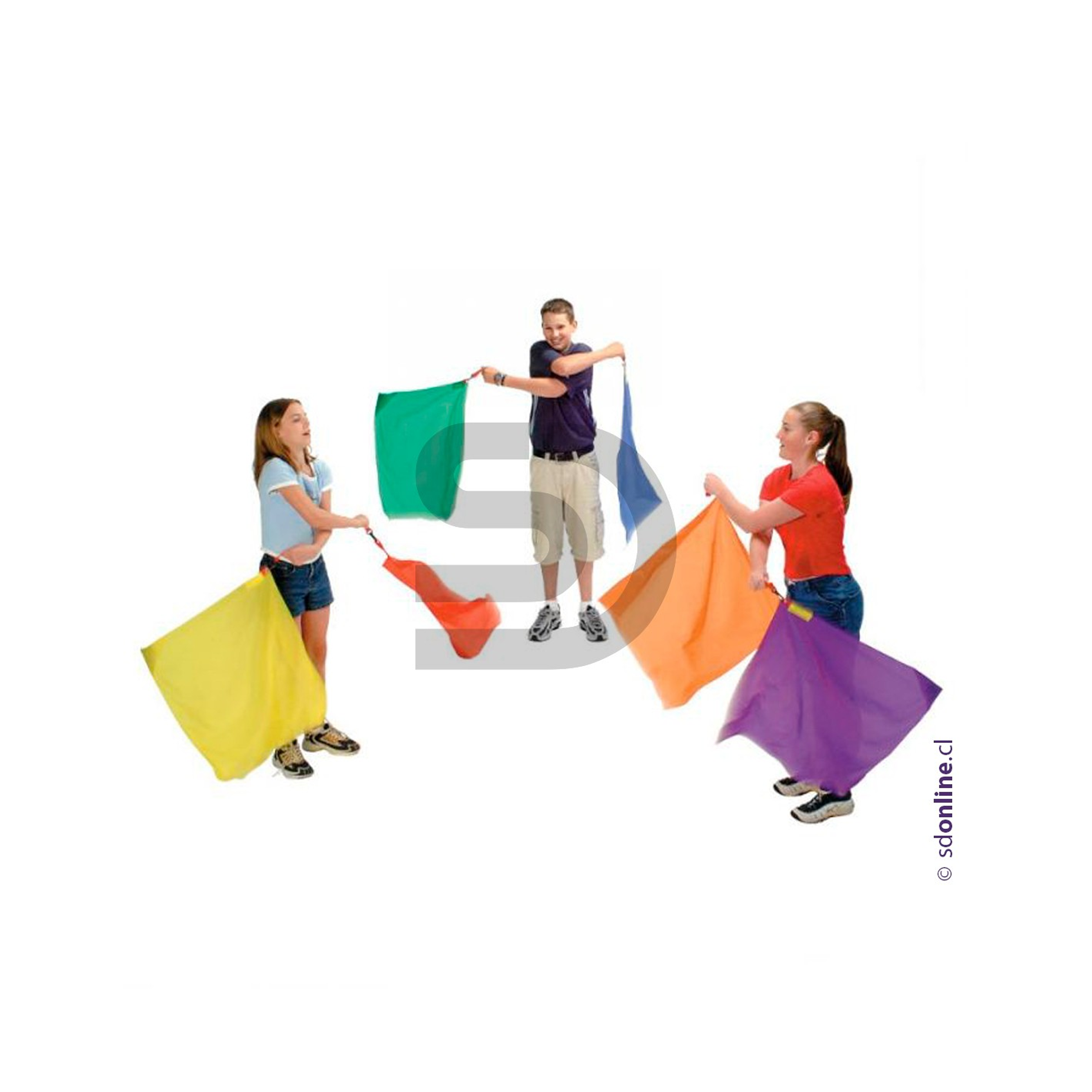 Banderas Ritmicas Con Peso 6Und 1