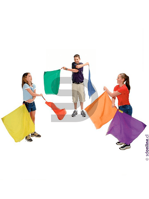 Banderas Ritmicas Con Peso 6Und