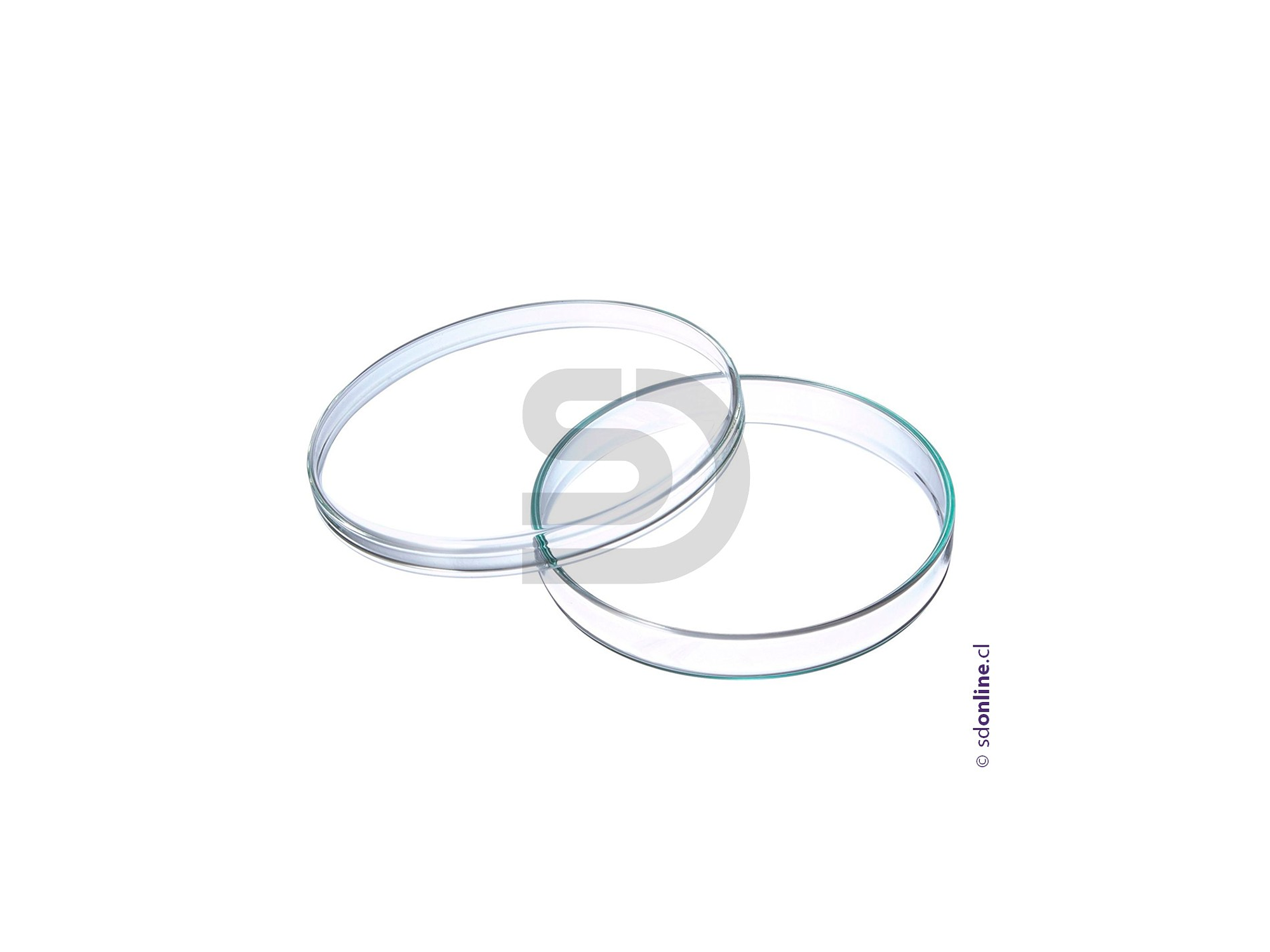 Capsula petri de vidrio alemana 100X15Mm 1