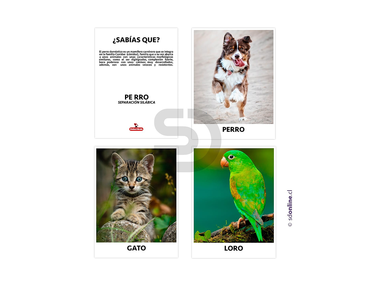 Set de 18 láminas animales domésticos 1