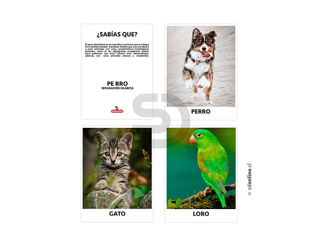 Set de 18 láminas animales domésticos 1