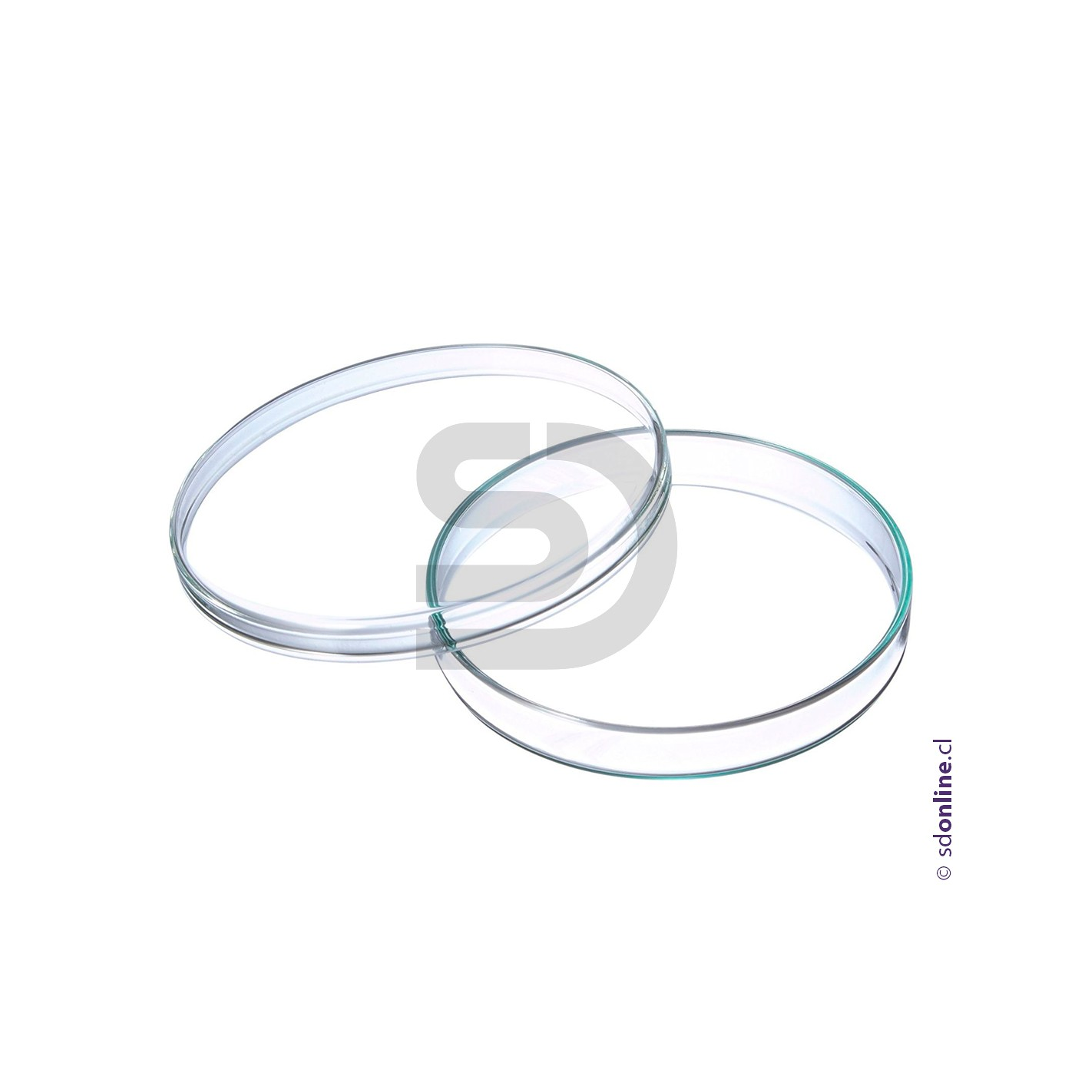 Placa petri de vidrio  100X15Mm 1