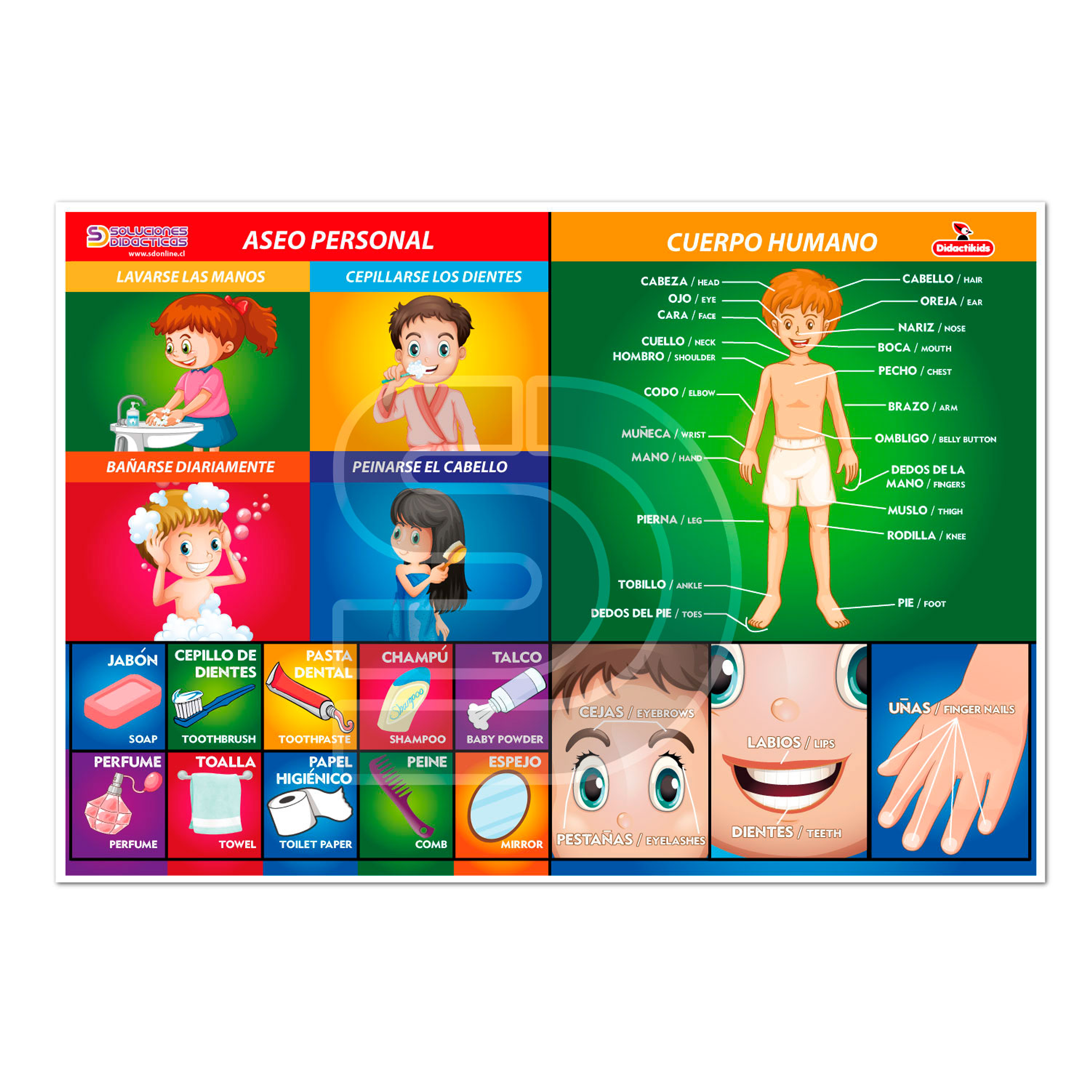 Lámina aseo personal y cuerpo humano 1