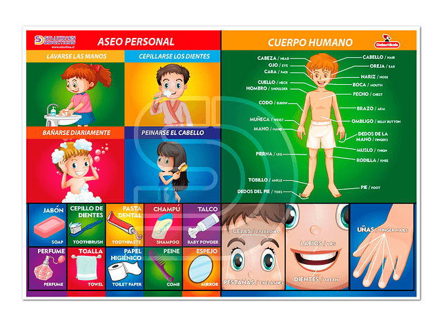 Lámina aseo personal y cuerpo humano 1