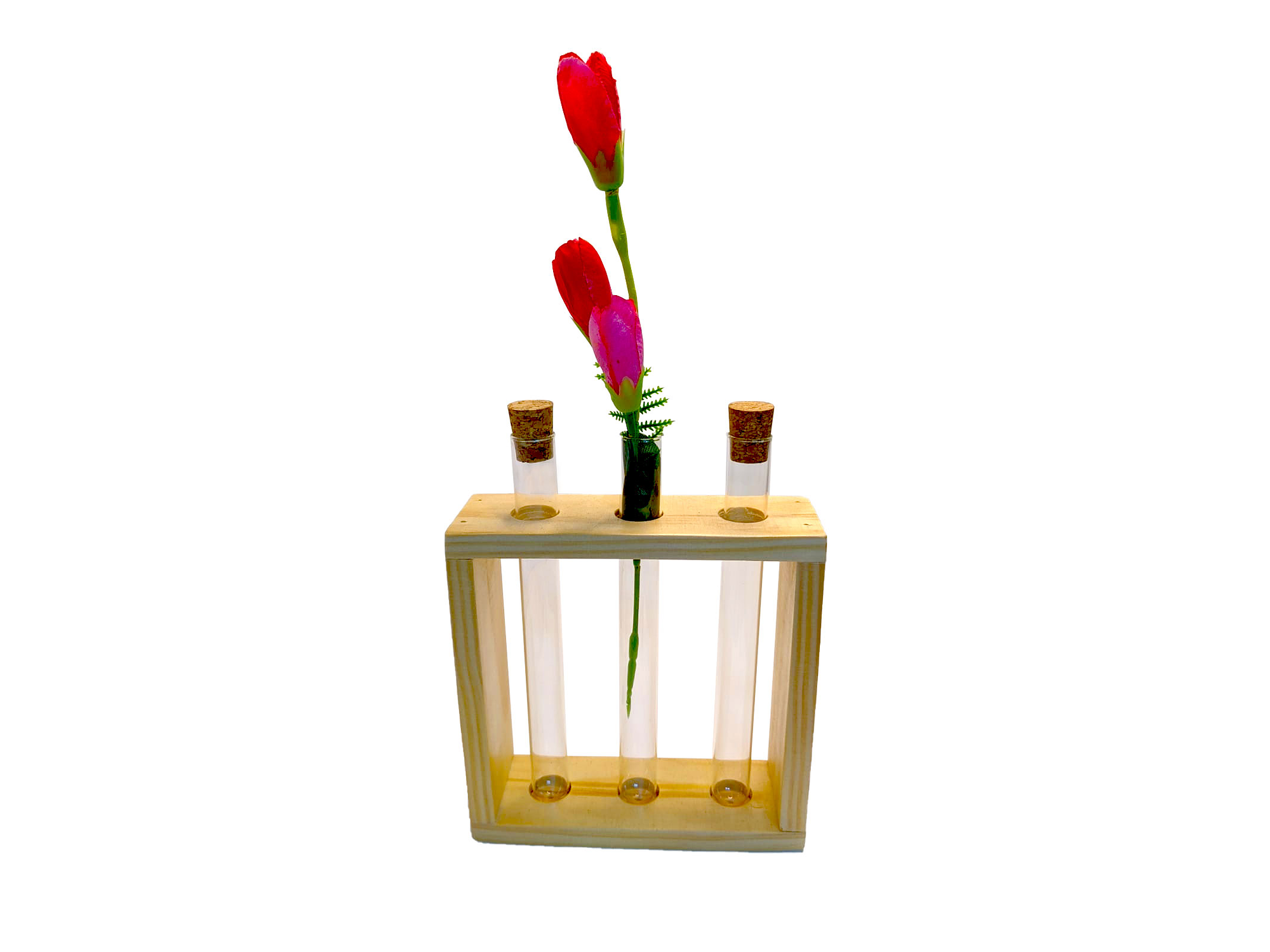 Macetero tubo de ensayo  1