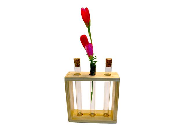 Macetero tubo de ensayo  1