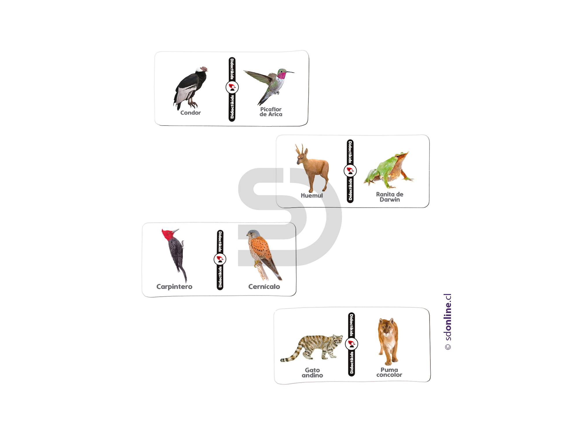 Dominó animales nativos de Chile - Vol 1 Eco 1