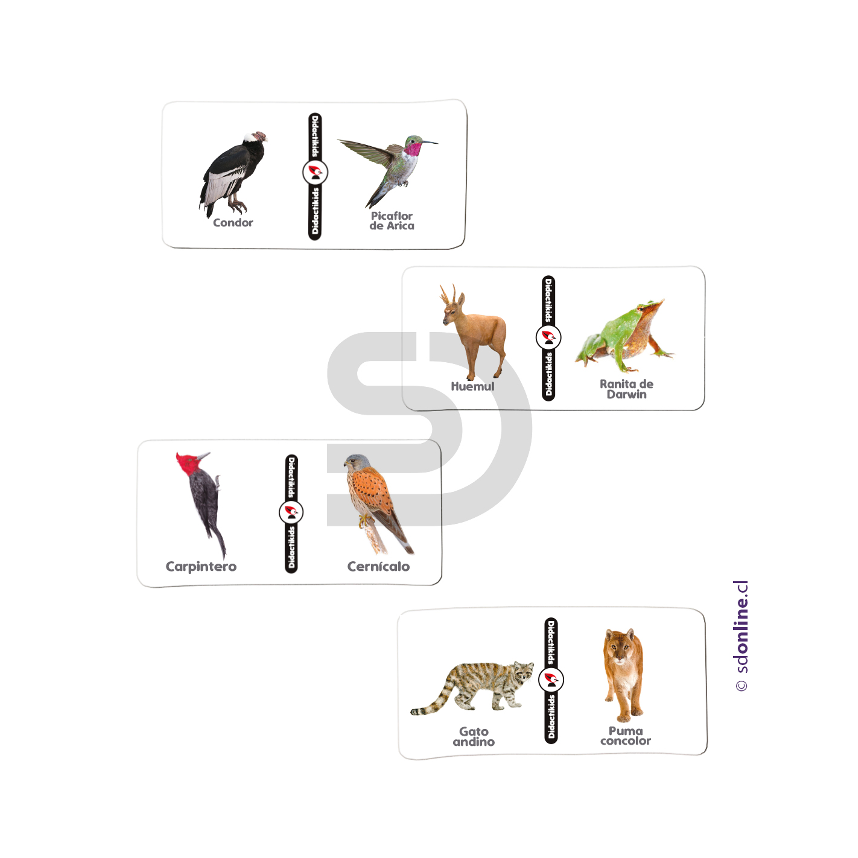 Dominó animales nativos de Chile - Vol 1 Eco 1