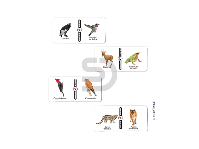 Dominó animales nativos de Chile - Vol 1 Eco 1