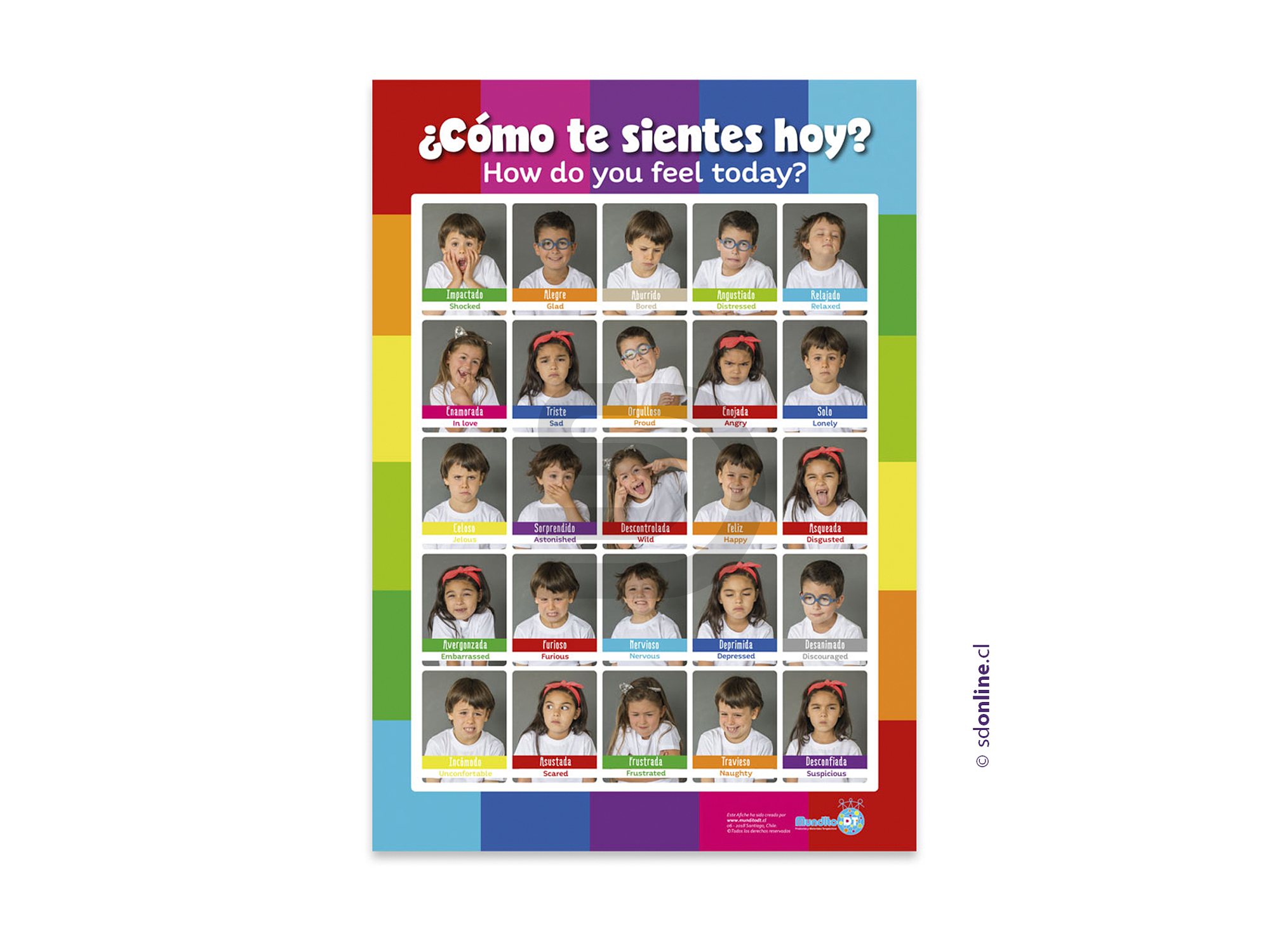 Afiche de las emociones faces 1