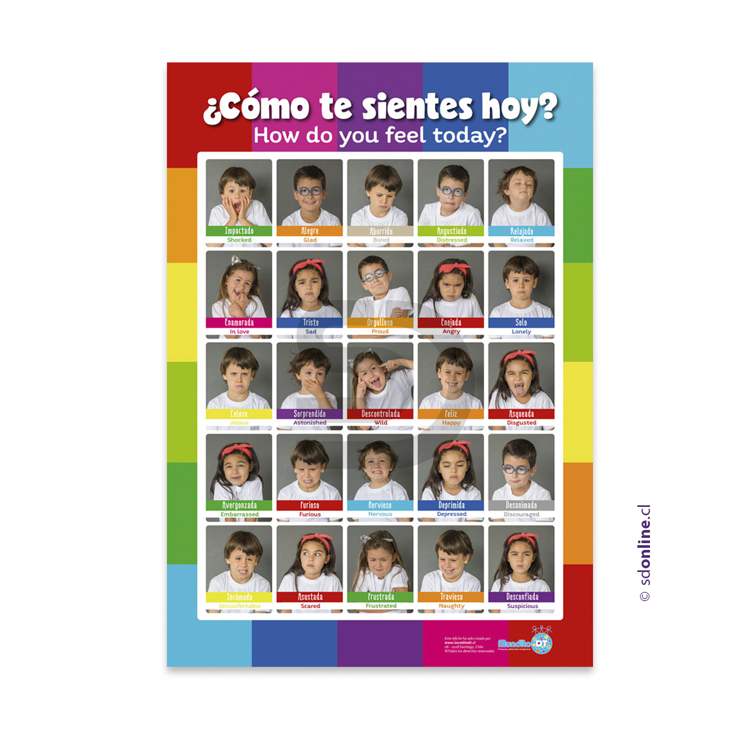 Afiche de las emociones faces 1