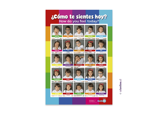 Afiche de las emociones faces 1