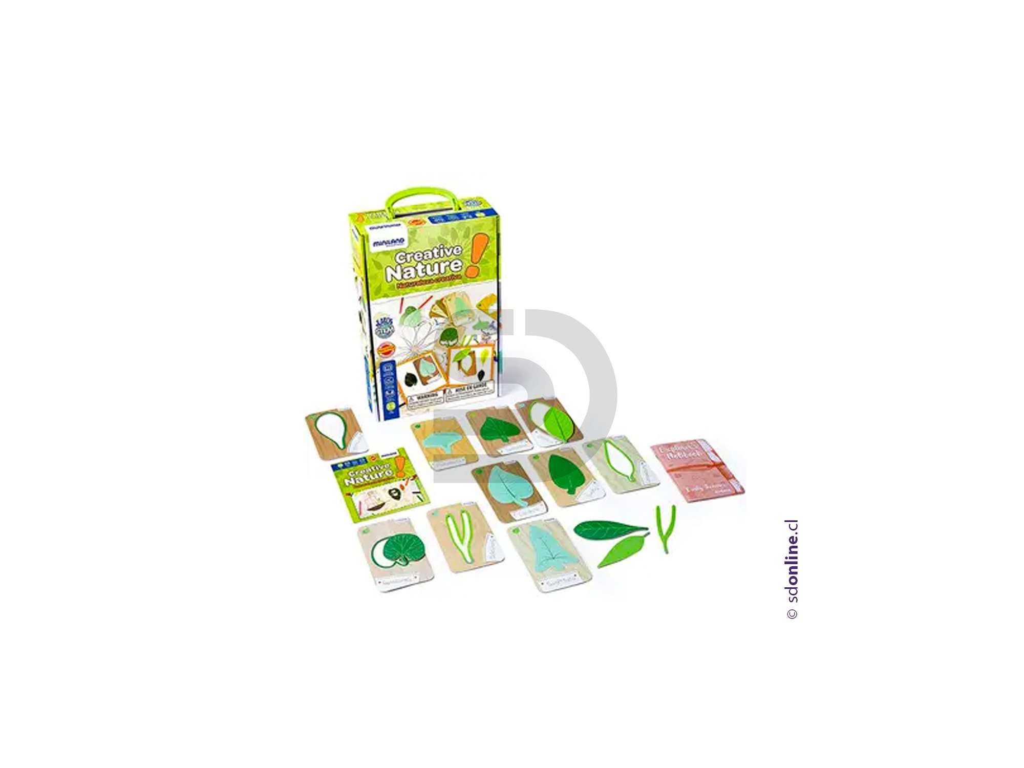 Aprendo sobre botánica 1