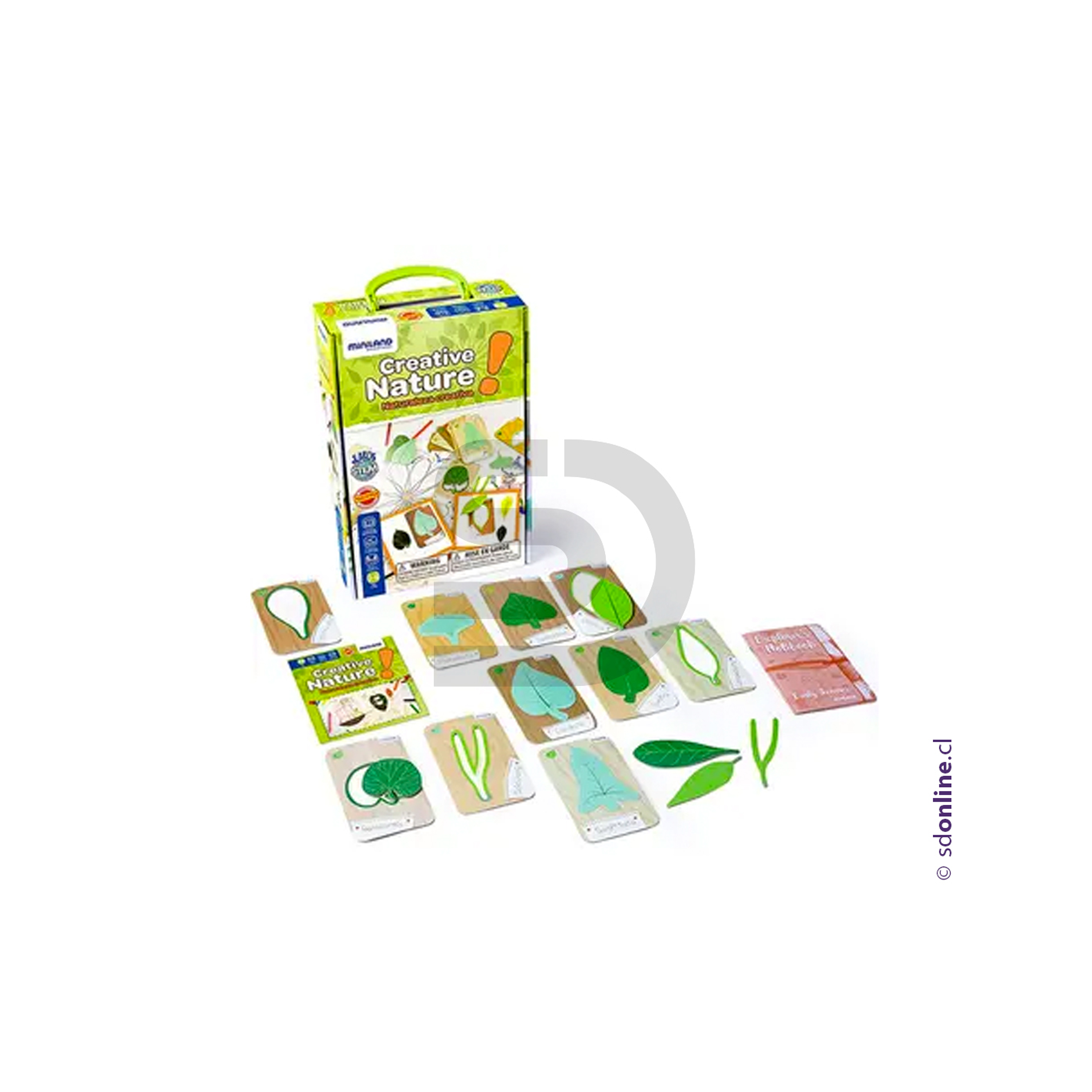 Aprendo sobre botánica 1