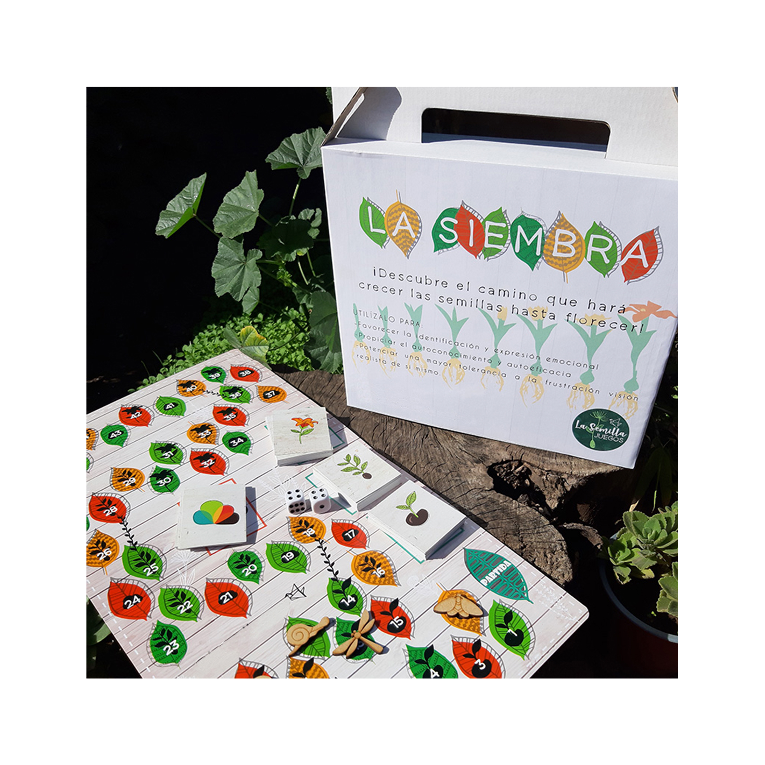 Autoconocimeinto la siembra 1