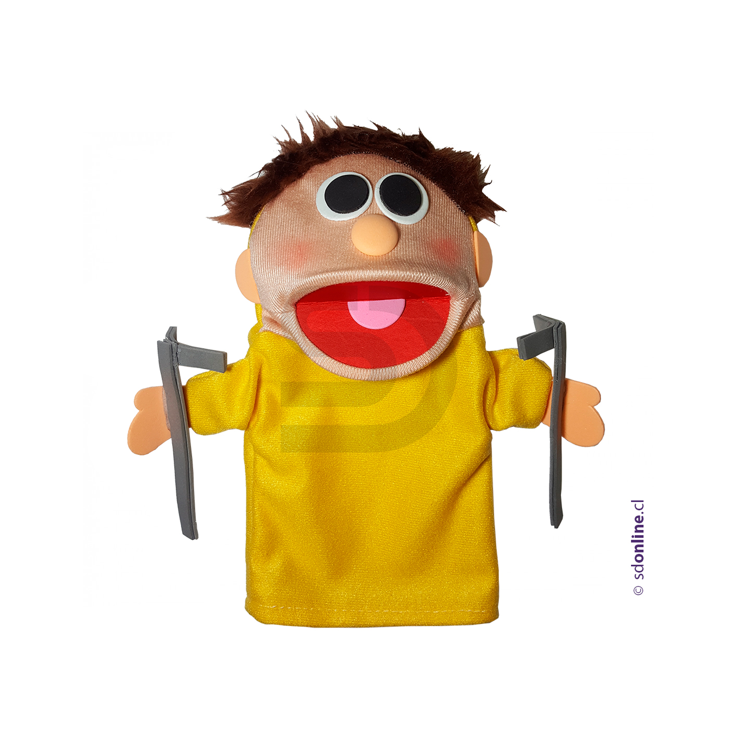 Títeres personas con capacidades diferentes 6Und 5