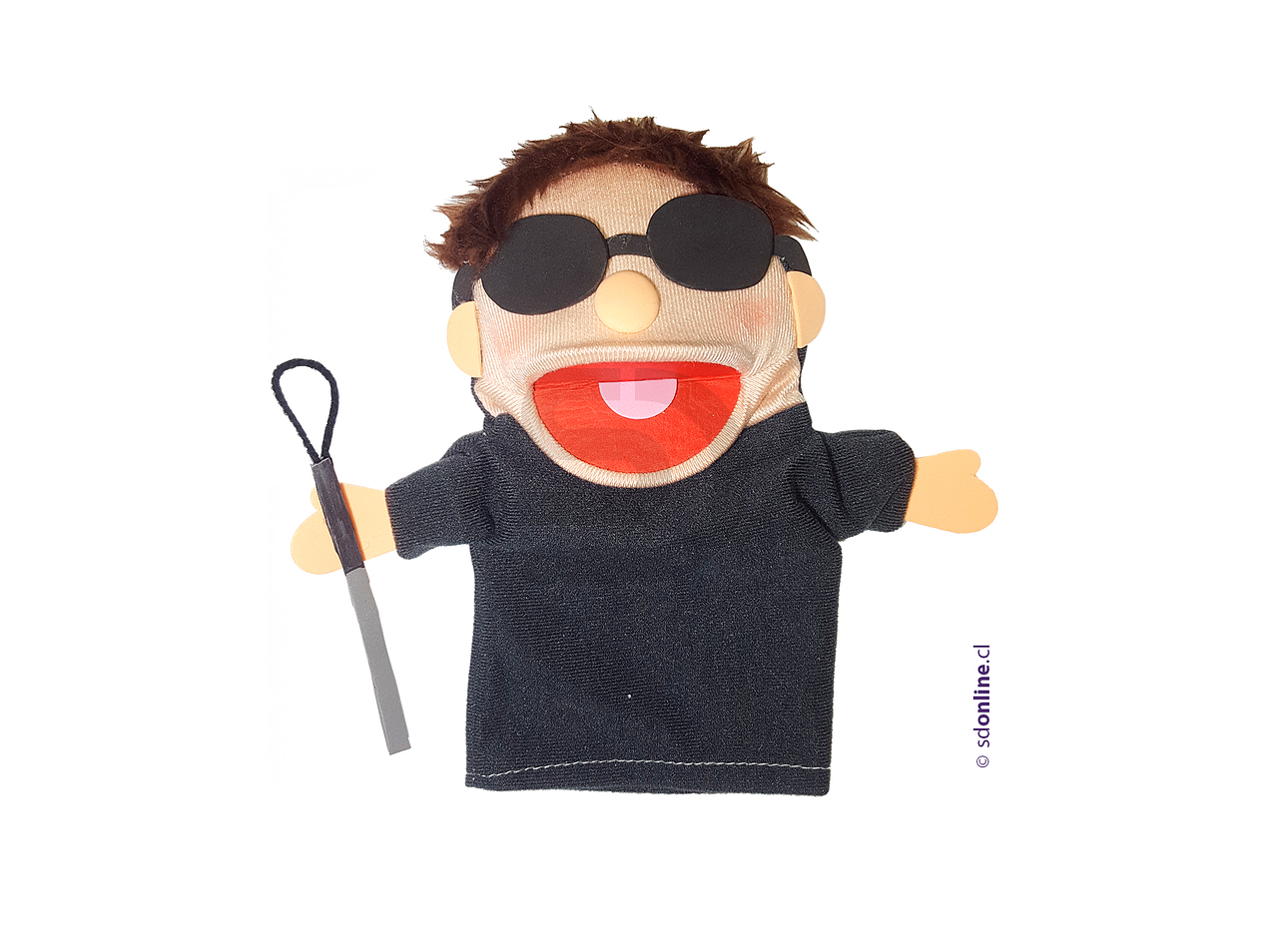 Títeres personas con capacidades diferentes 6Und 6