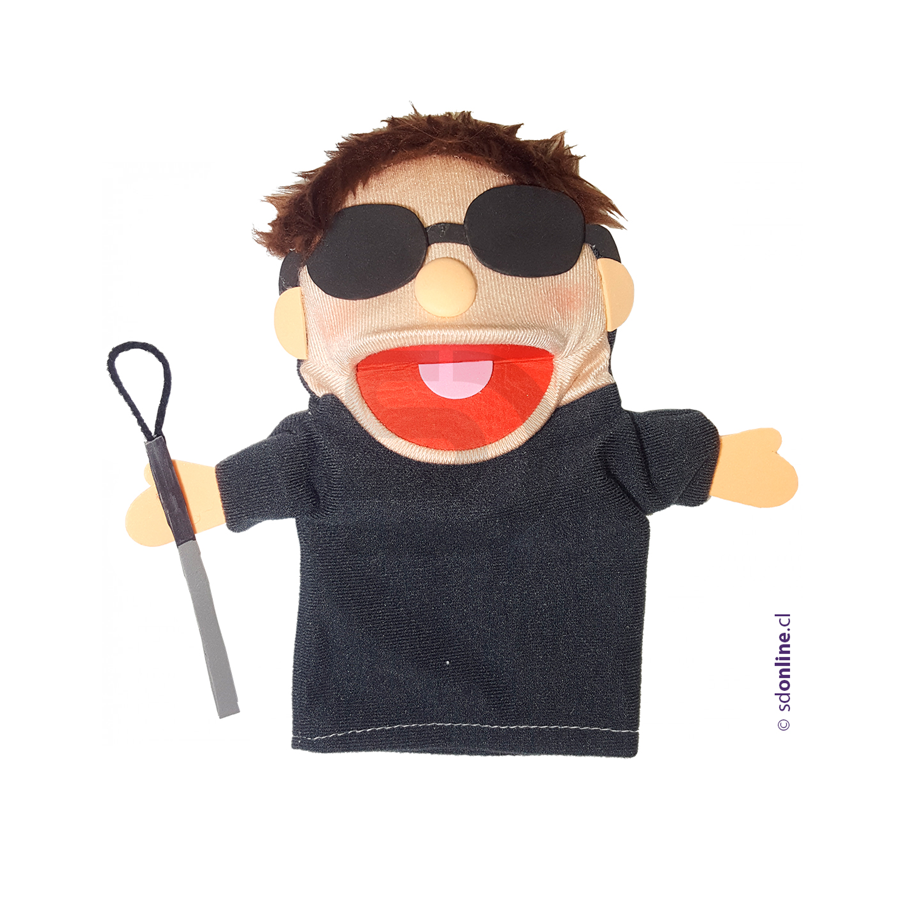 Títeres personas con capacidades diferentes 6Und 6