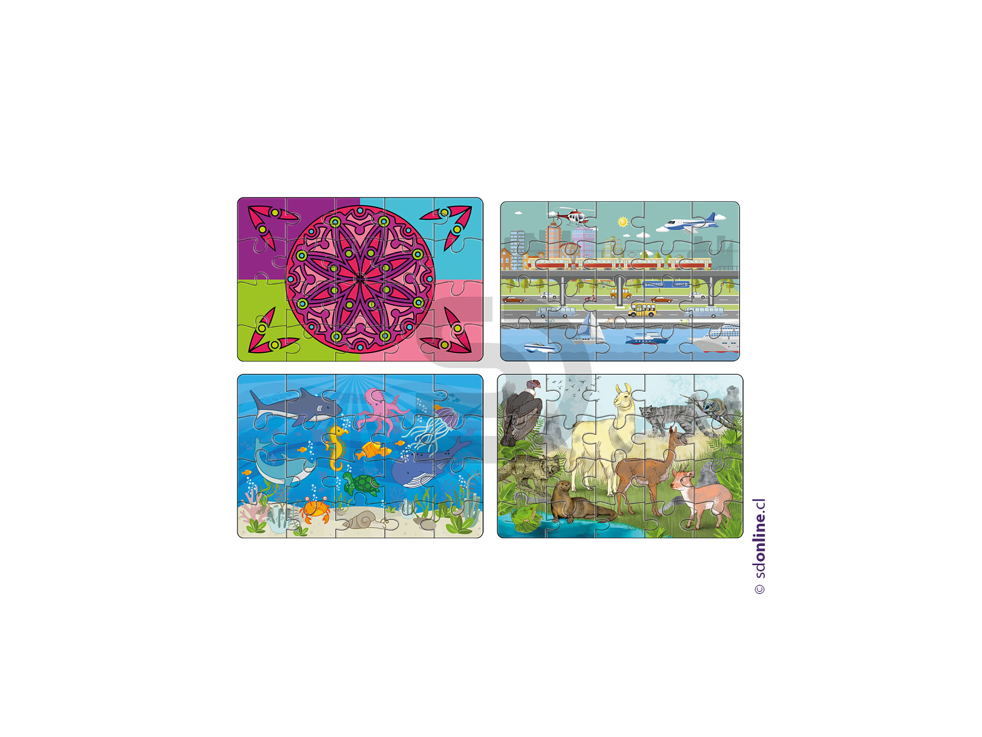 Set de 4 puzzles  1