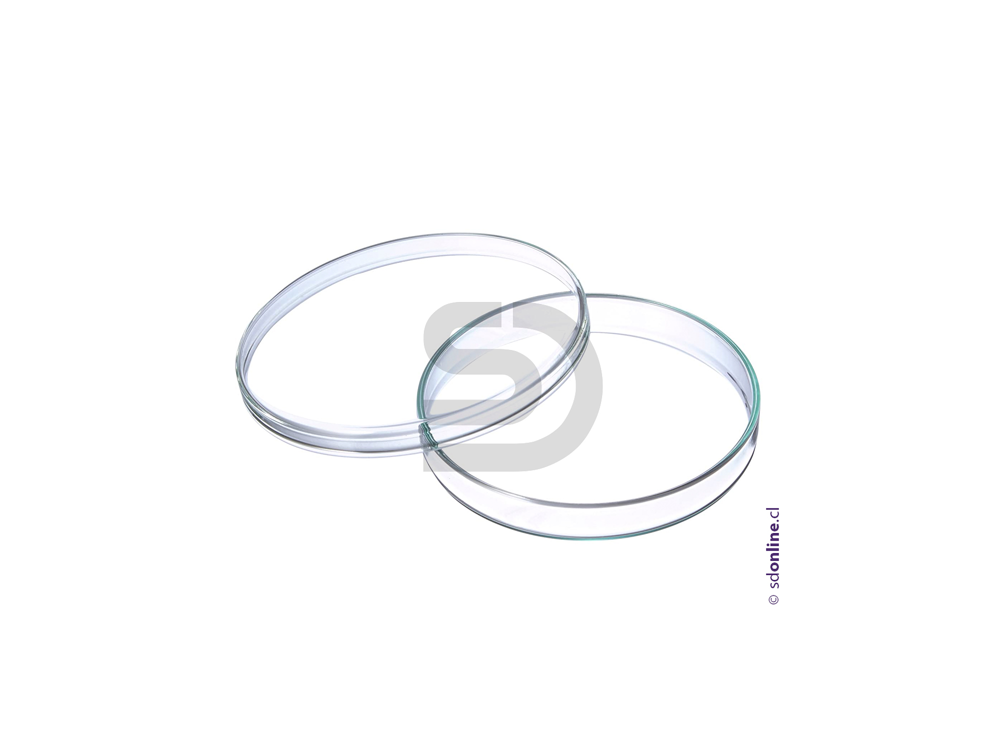 Placa petri de vidrio  120X20Mm 1