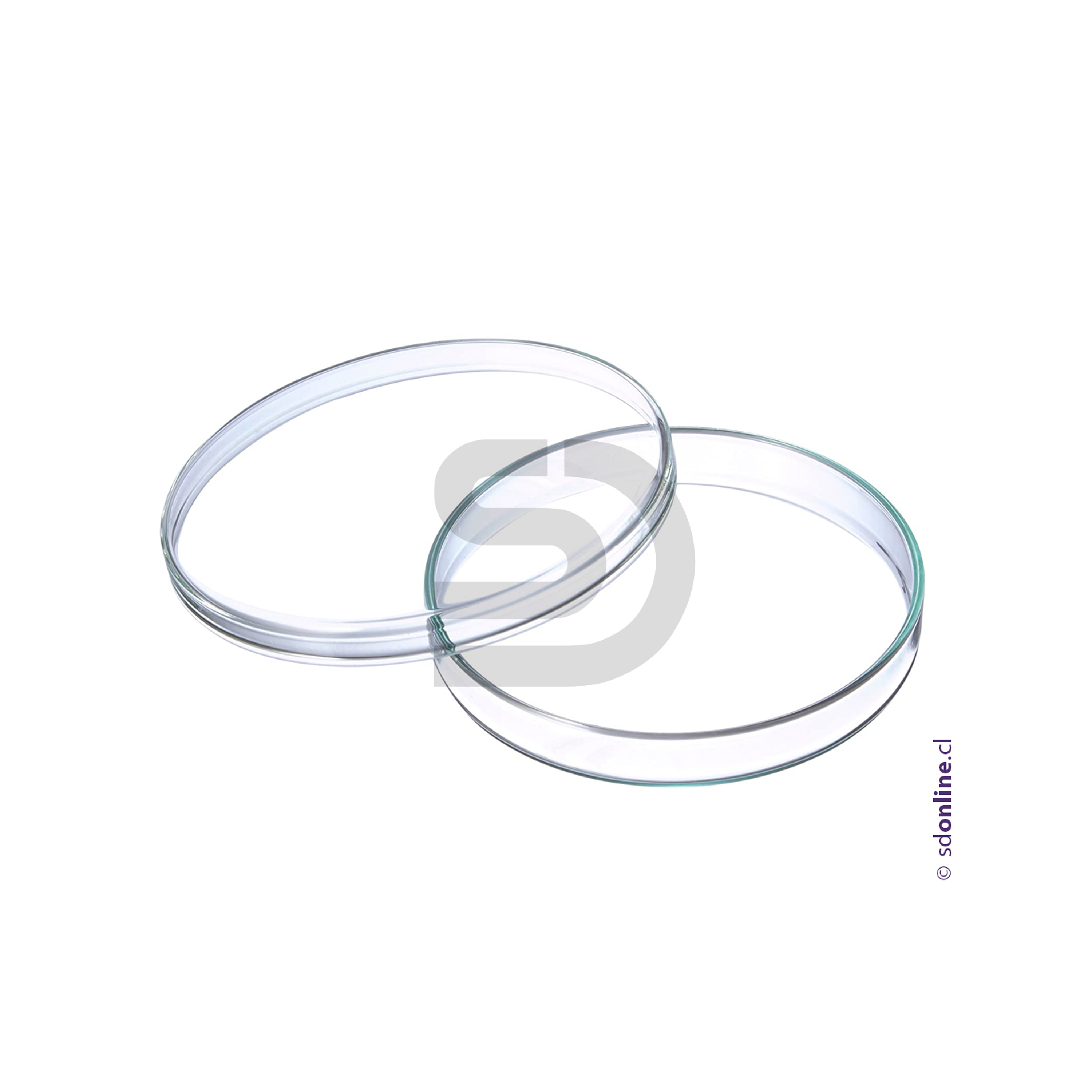 Placa petri de vidrio  120X20Mm 1