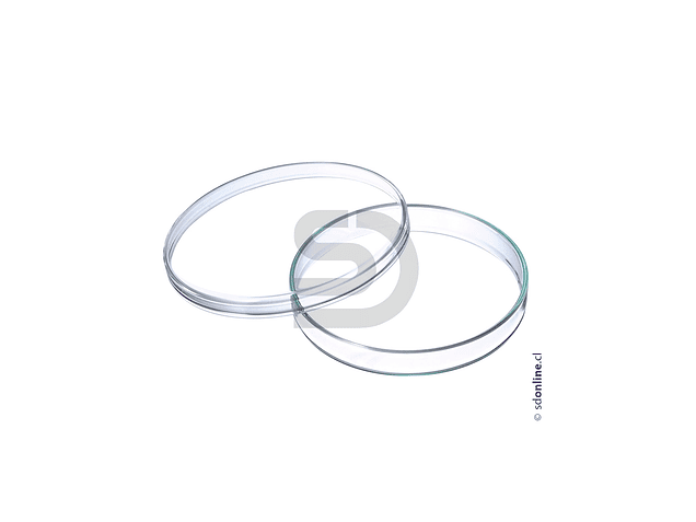 Placa petri de vidrio  120X20Mm 1
