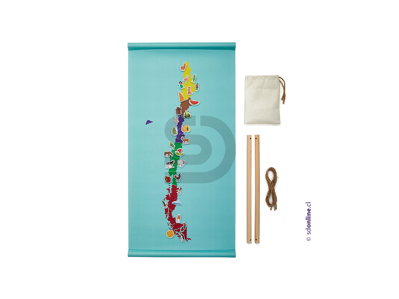 Mapa panel etnias,flora y fauna de chile 1