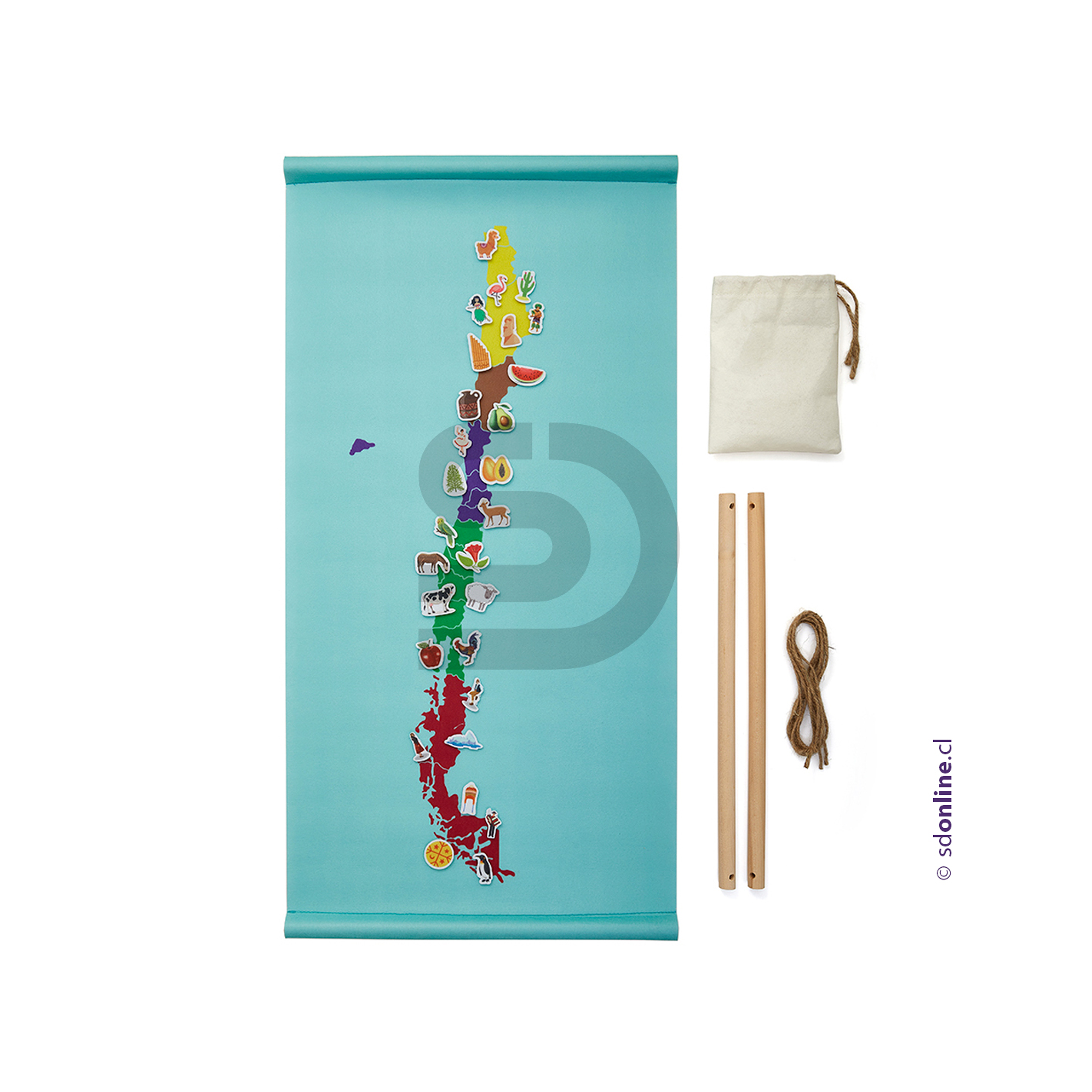 Mapa panel etnias,flora y fauna de chile 1