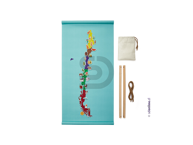 Mapa panel etnias,flora y fauna de chile 1