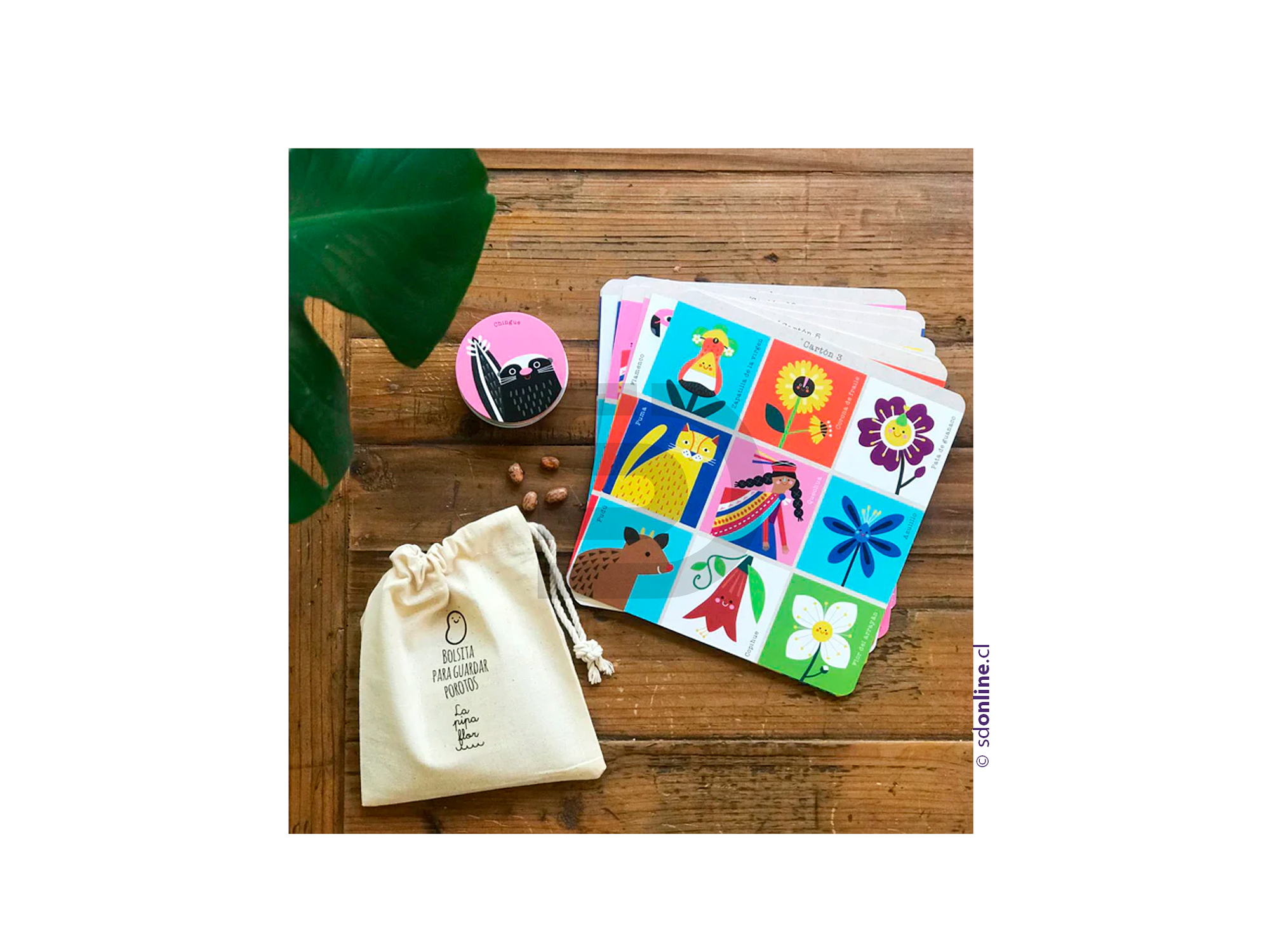 Bingo flora fauna y pueblos originarios de chile 1