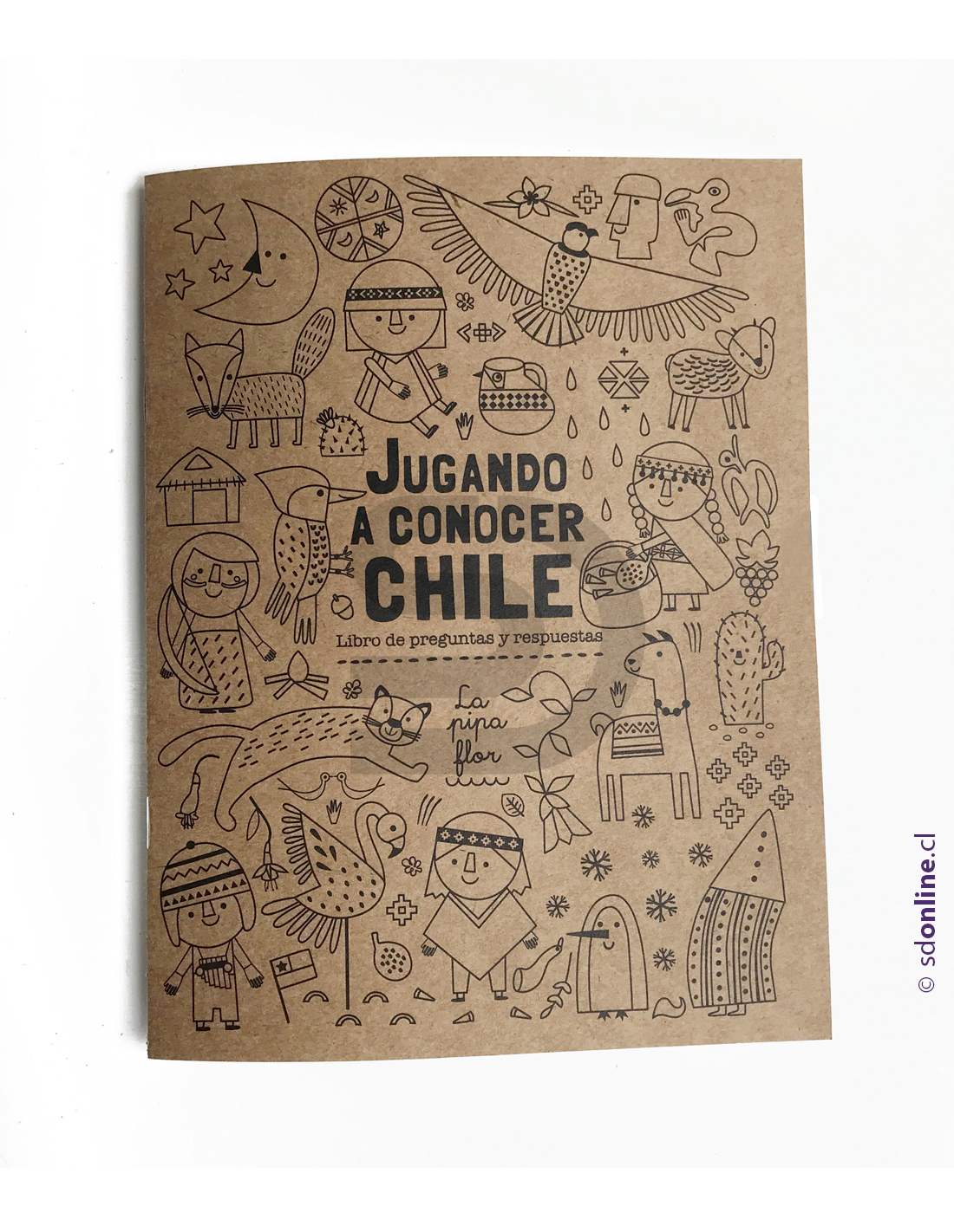 Juego conocer chile