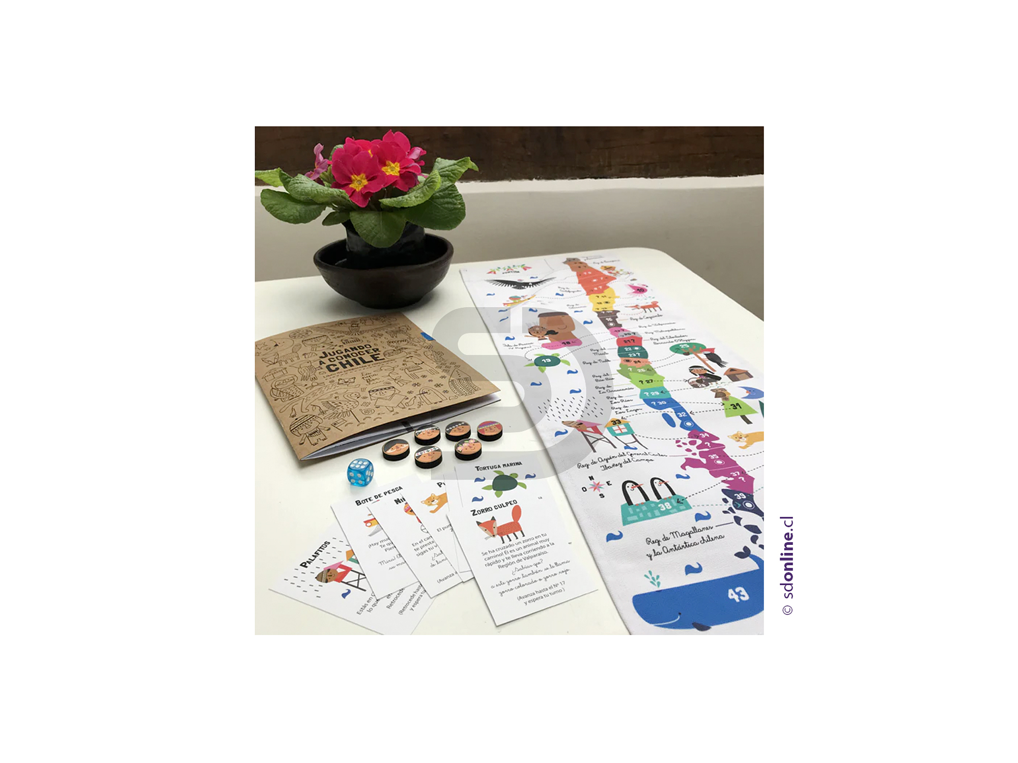 Juego conocer chile 3