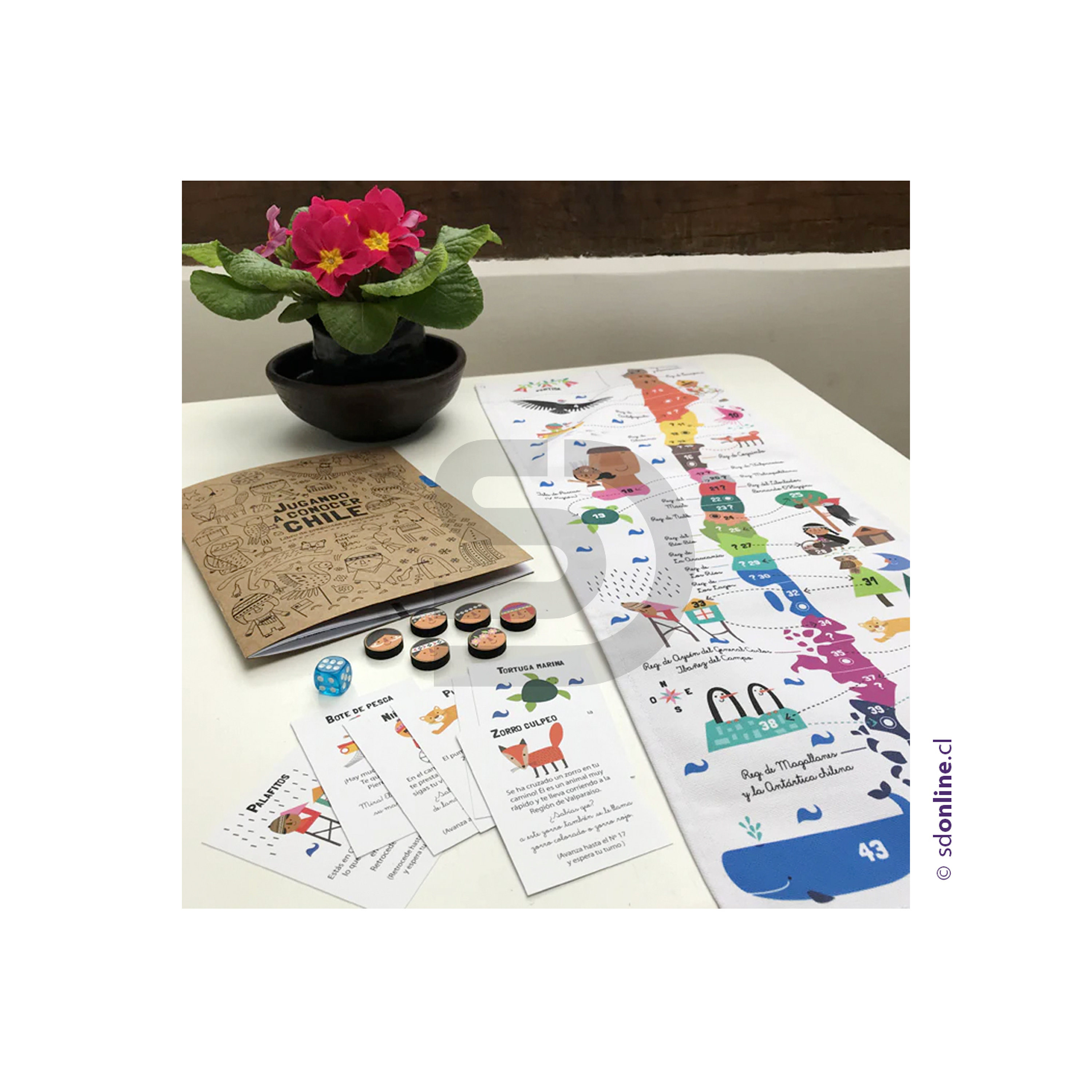 Juego conocer chile 3