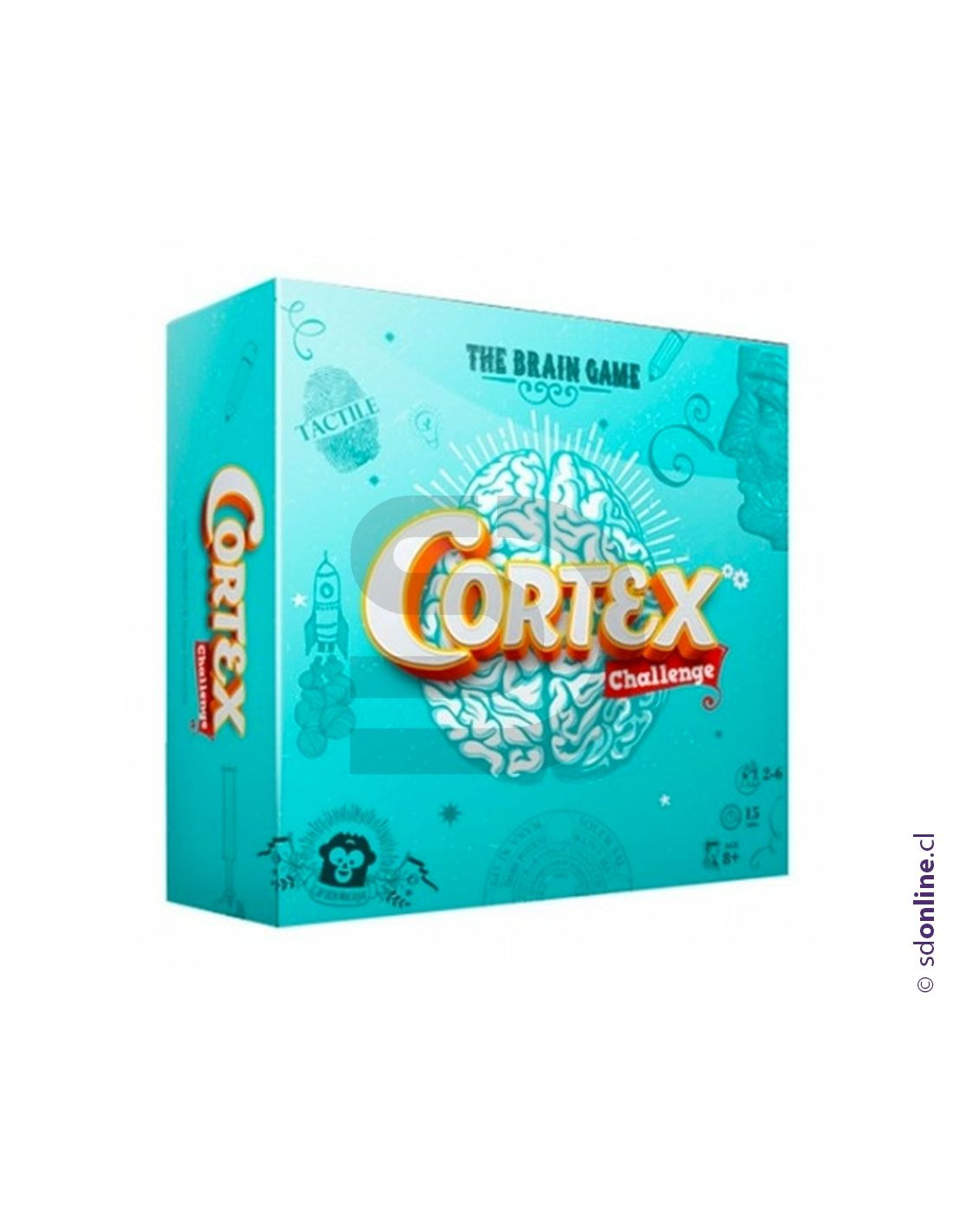 Cortex
