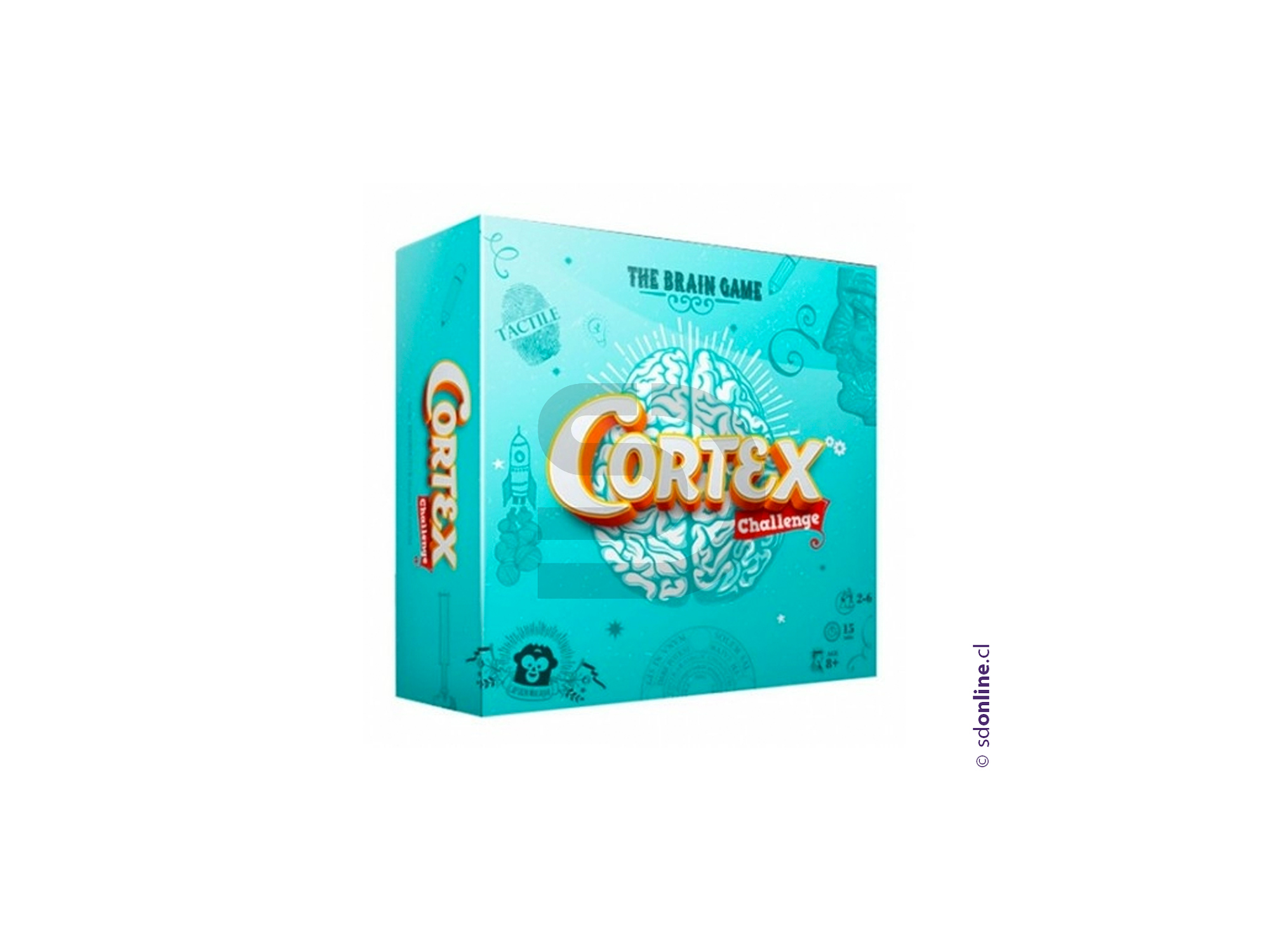 Cortex 1