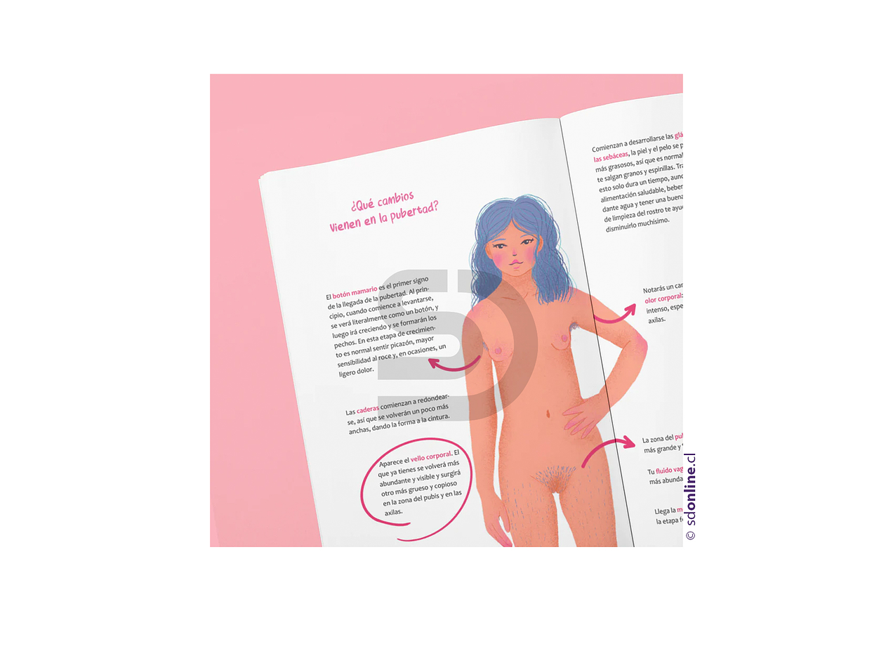 Libro Bienvenida mi luna 2