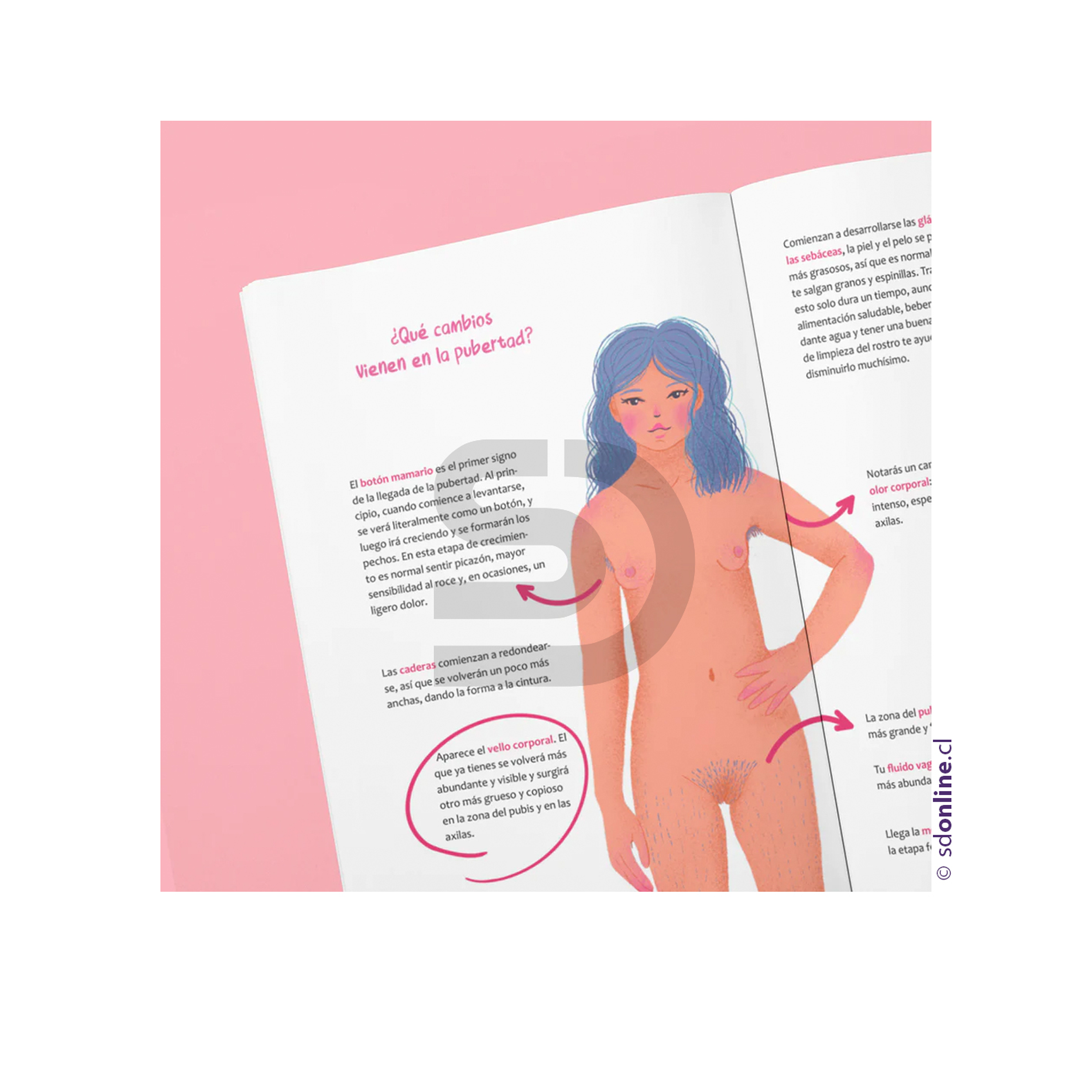 Libro Bienvenida mi luna 2