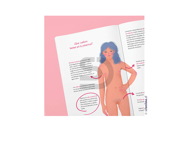 Libro Bienvenida mi luna 2